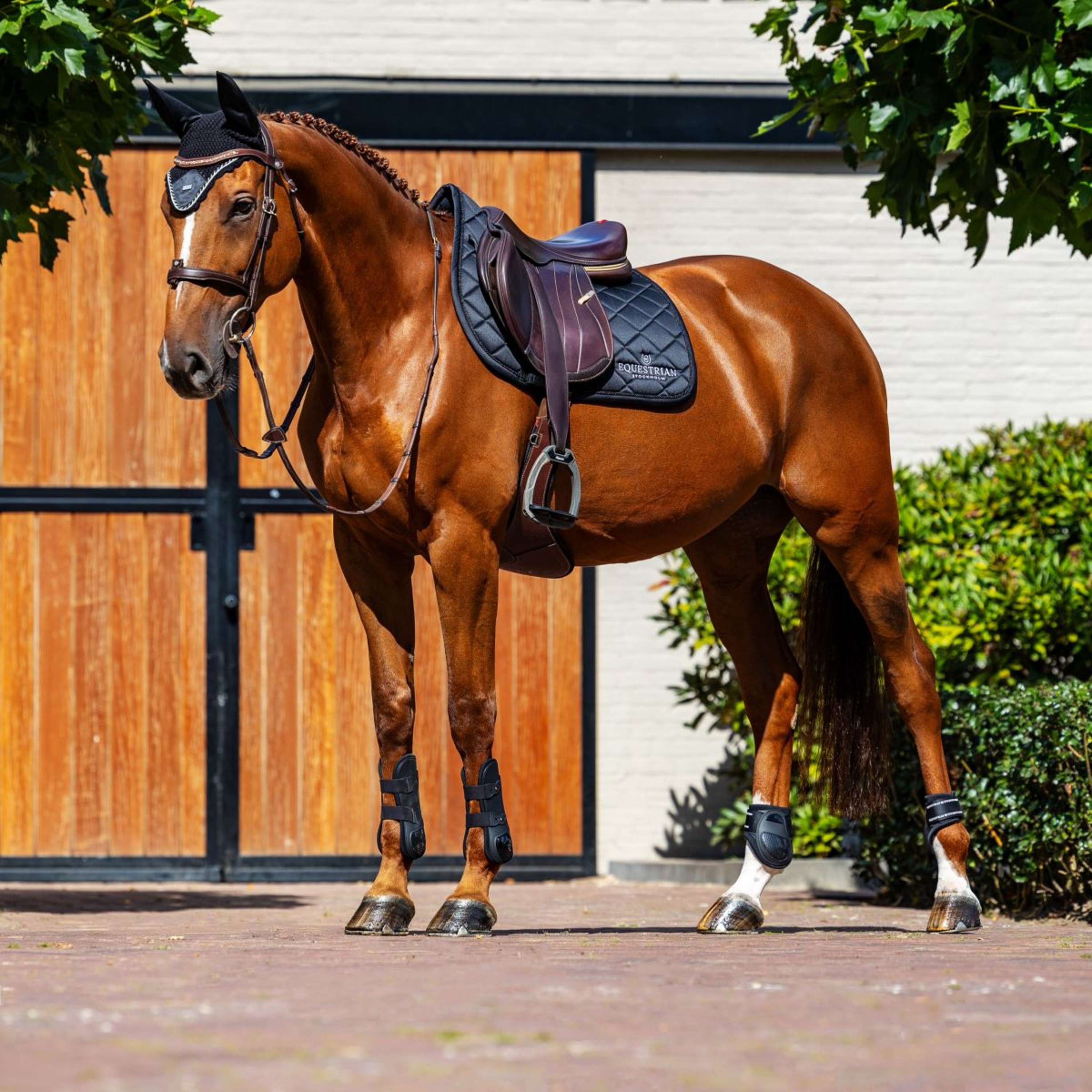 Equestrian Stockholm Saddlepad Line Jumping Black