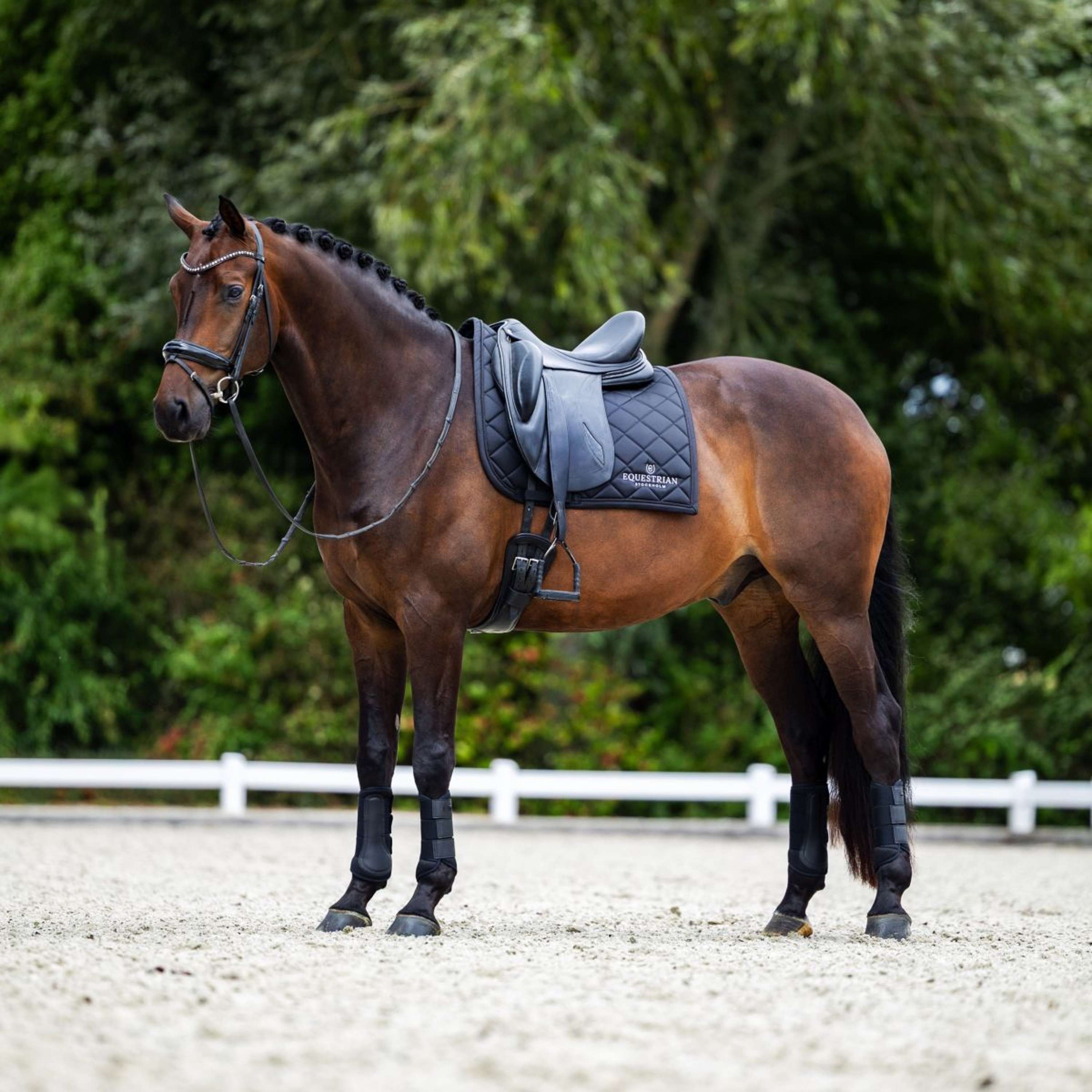 Equestrian Stockholm Saddlepad Line Dressage Black