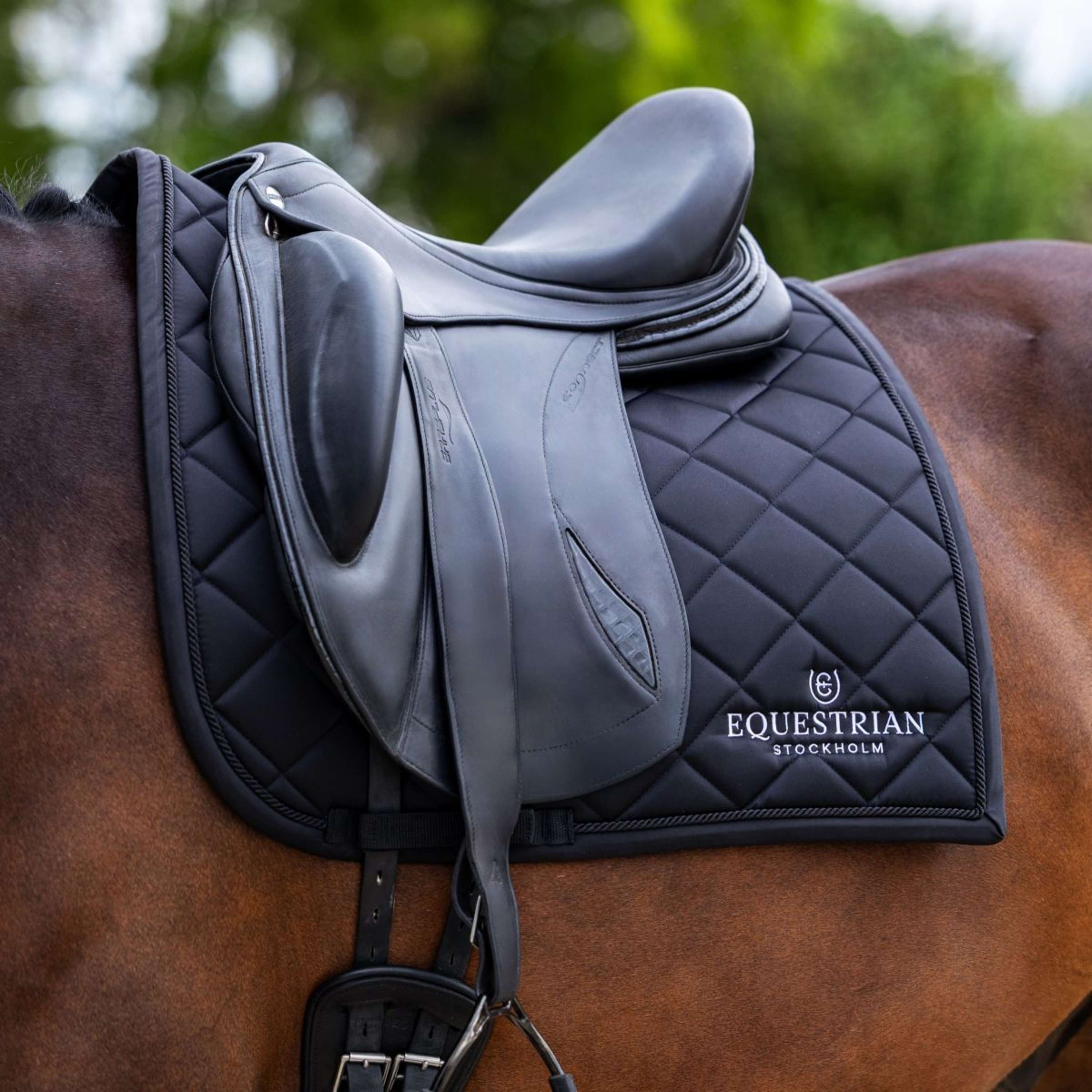 Equestrian Stockholm Saddlepad Line Dressage Black