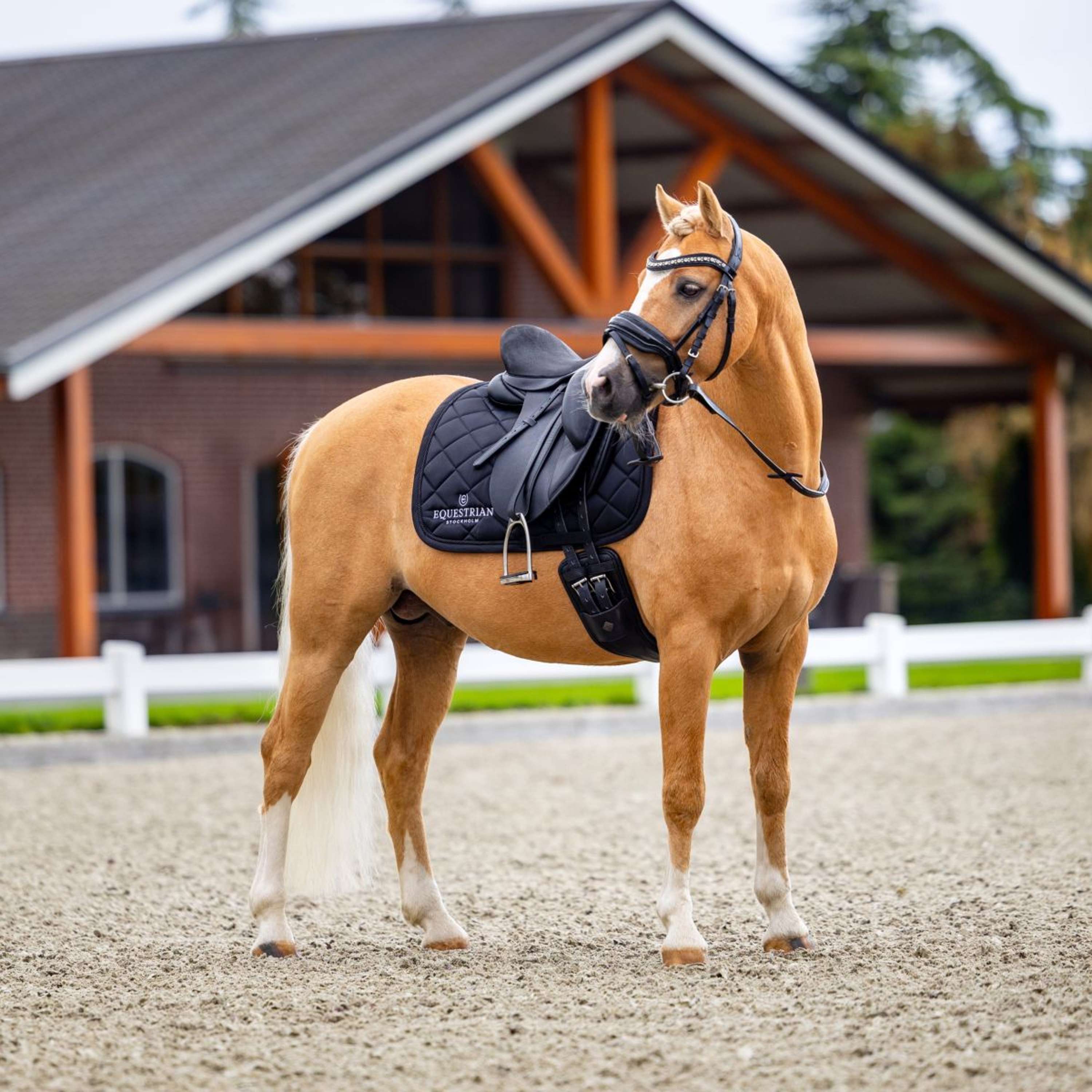 Equestrian Stockholm Saddlepad Line Dressage Black
