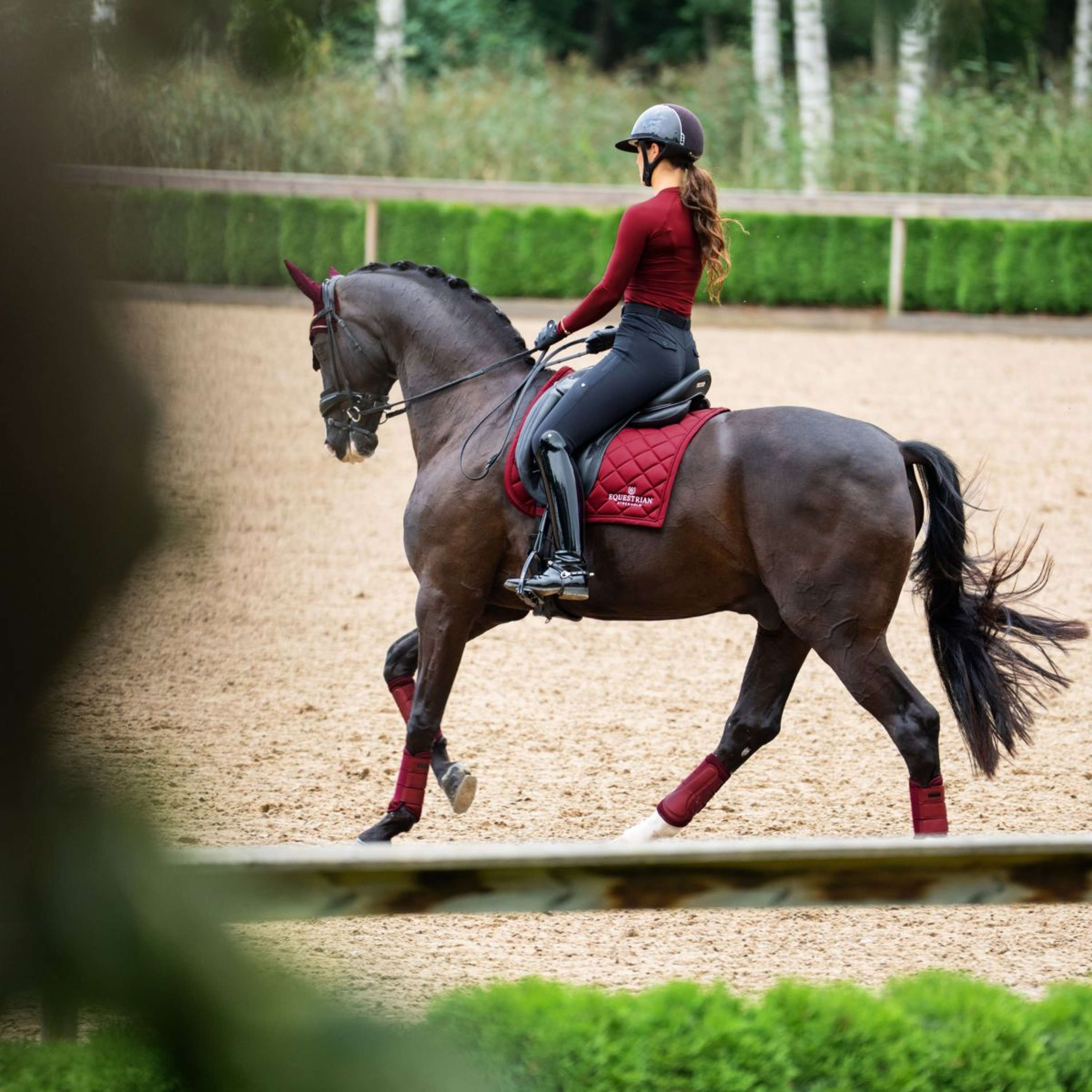 Equestrian Stockholm Saddlepad Line Dressage Bordeaux