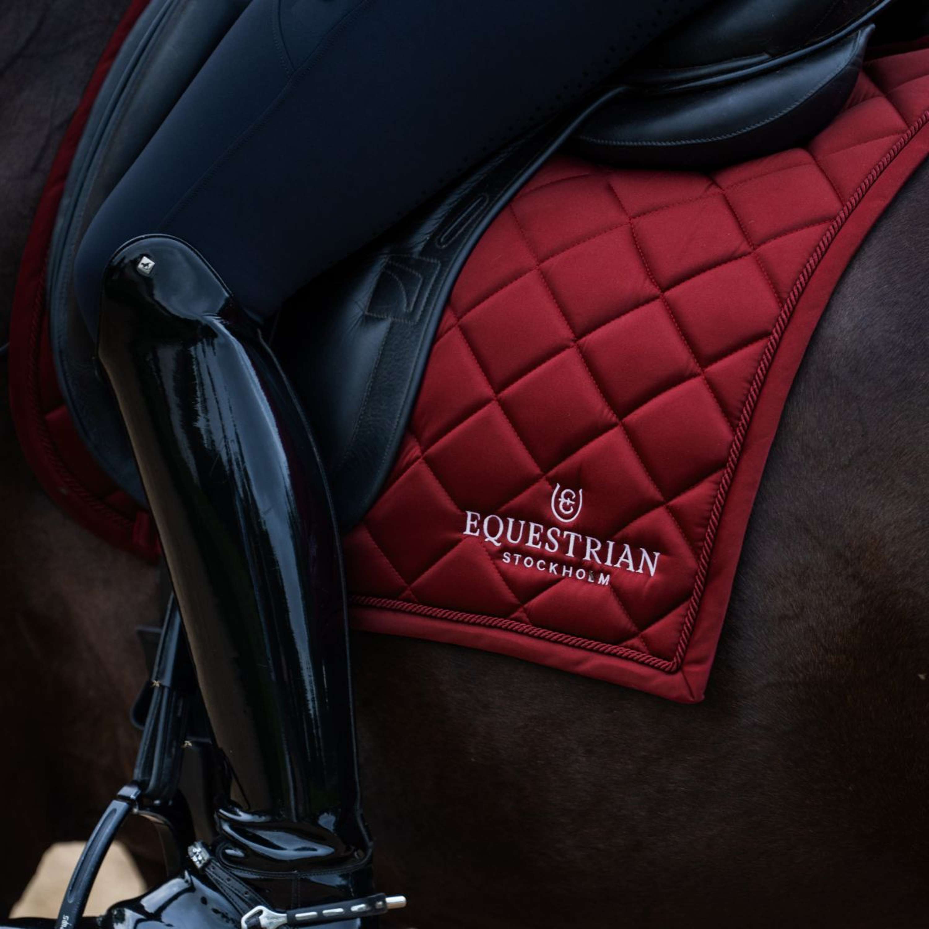 Equestrian Stockholm Saddlepad Line Dressage Bordeaux