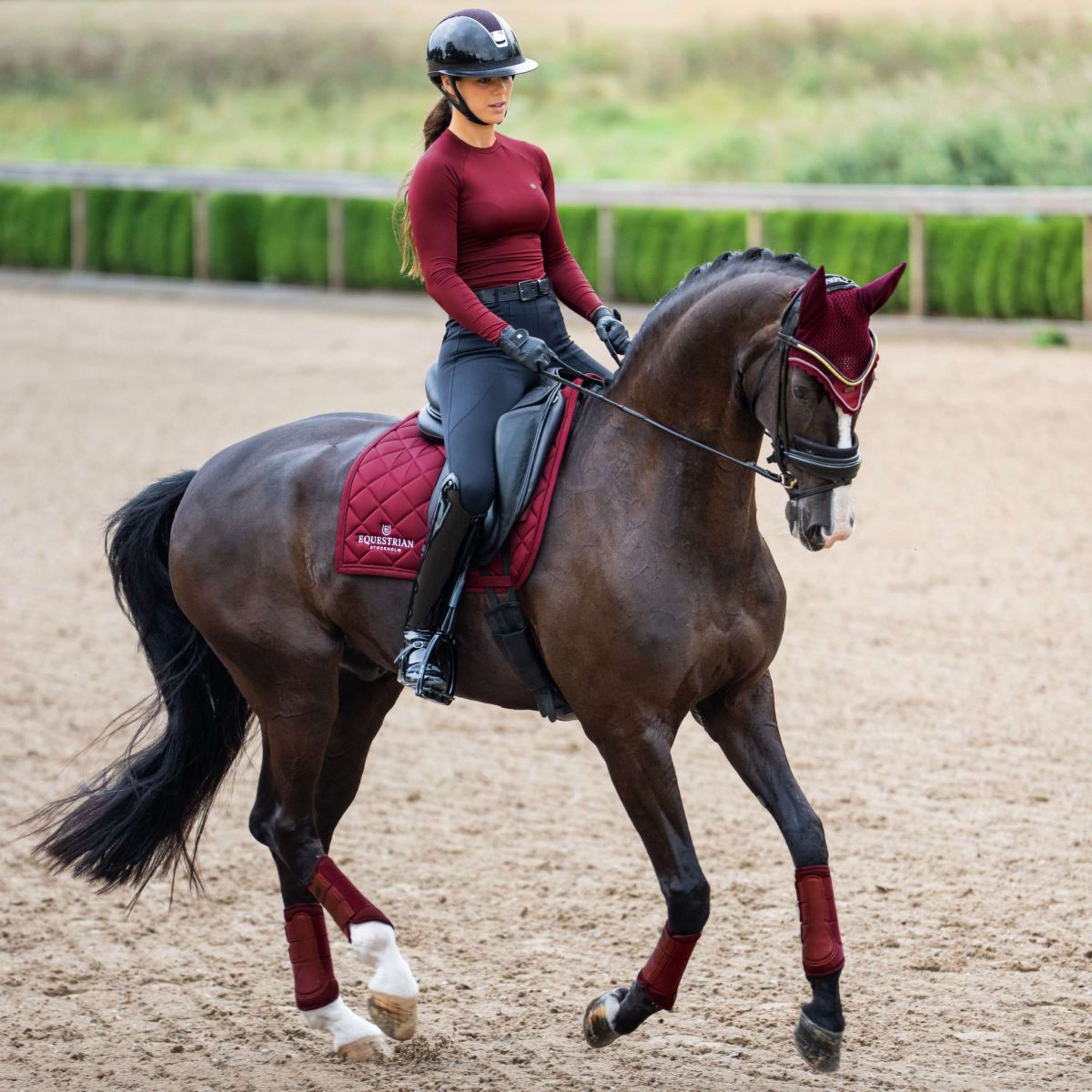 Equestrian Stockholm Saddlepad Line Dressage Bordeaux