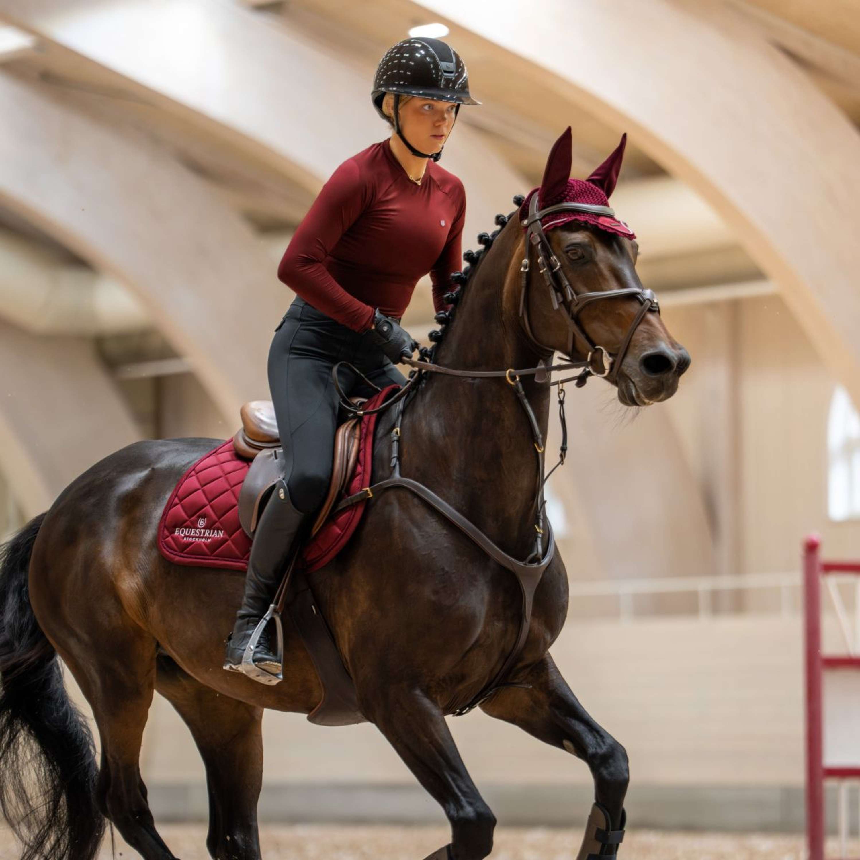 Equestrian Stockholm Saddlepad Line Jumping Bordeaux