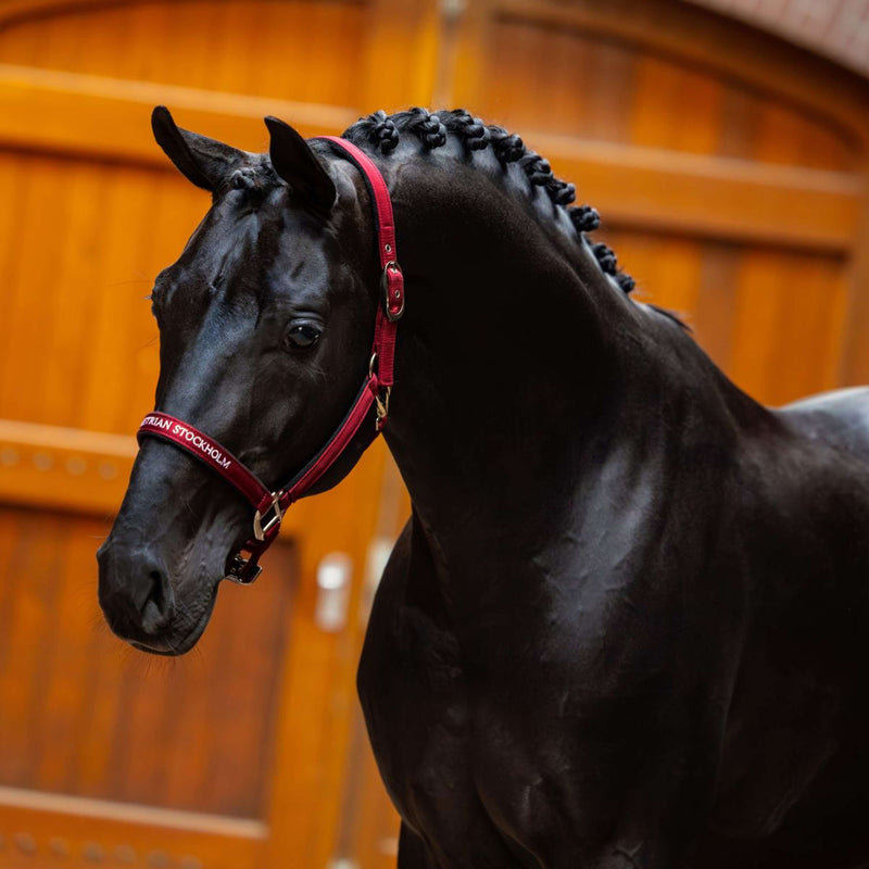 Equestrian Stockholm Halter Line Bordeaux