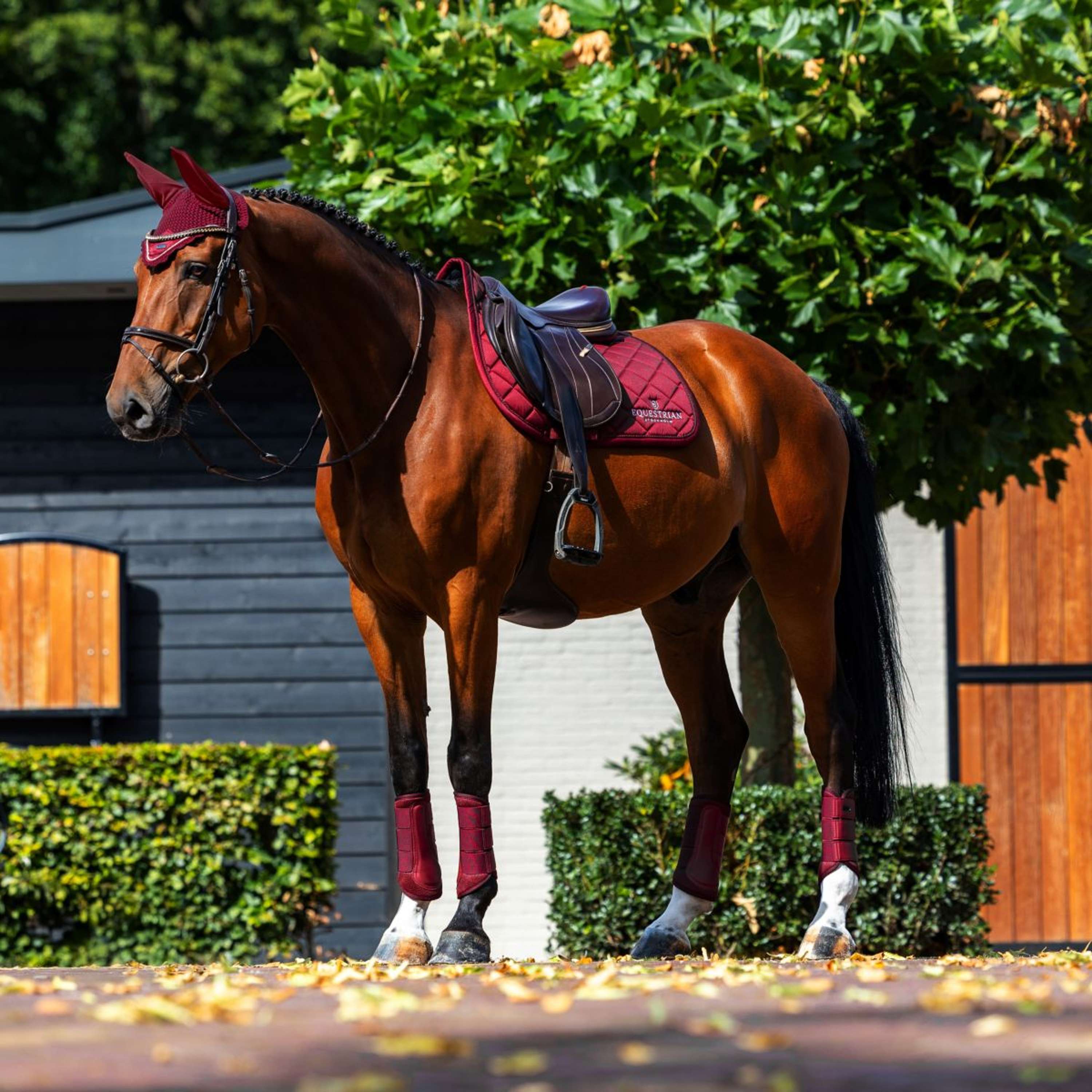 Equestrian Stockholm Saddlepad Line Jumping Bordeaux