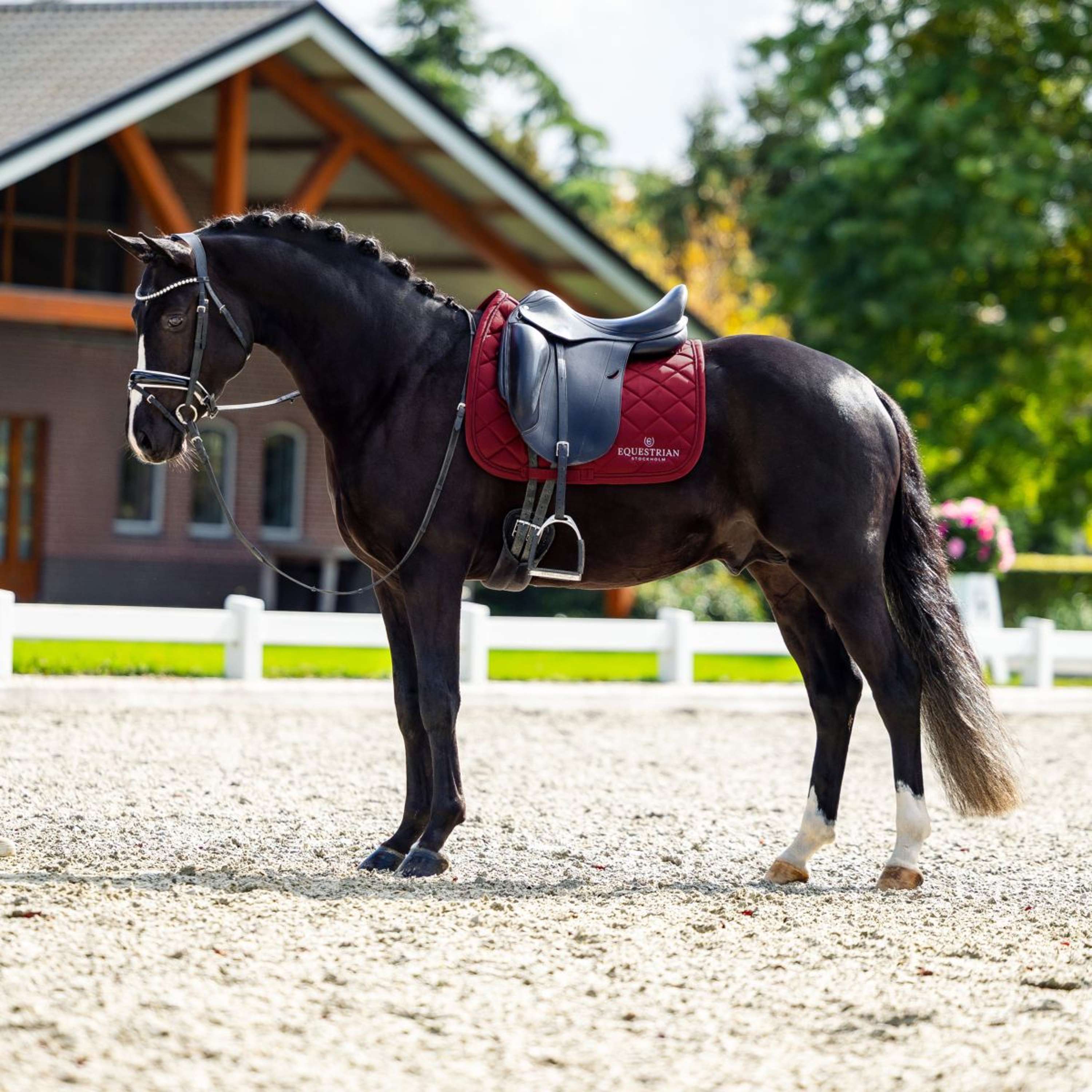 Equestrian Stockholm Saddlepad Line Dressage Bordeaux