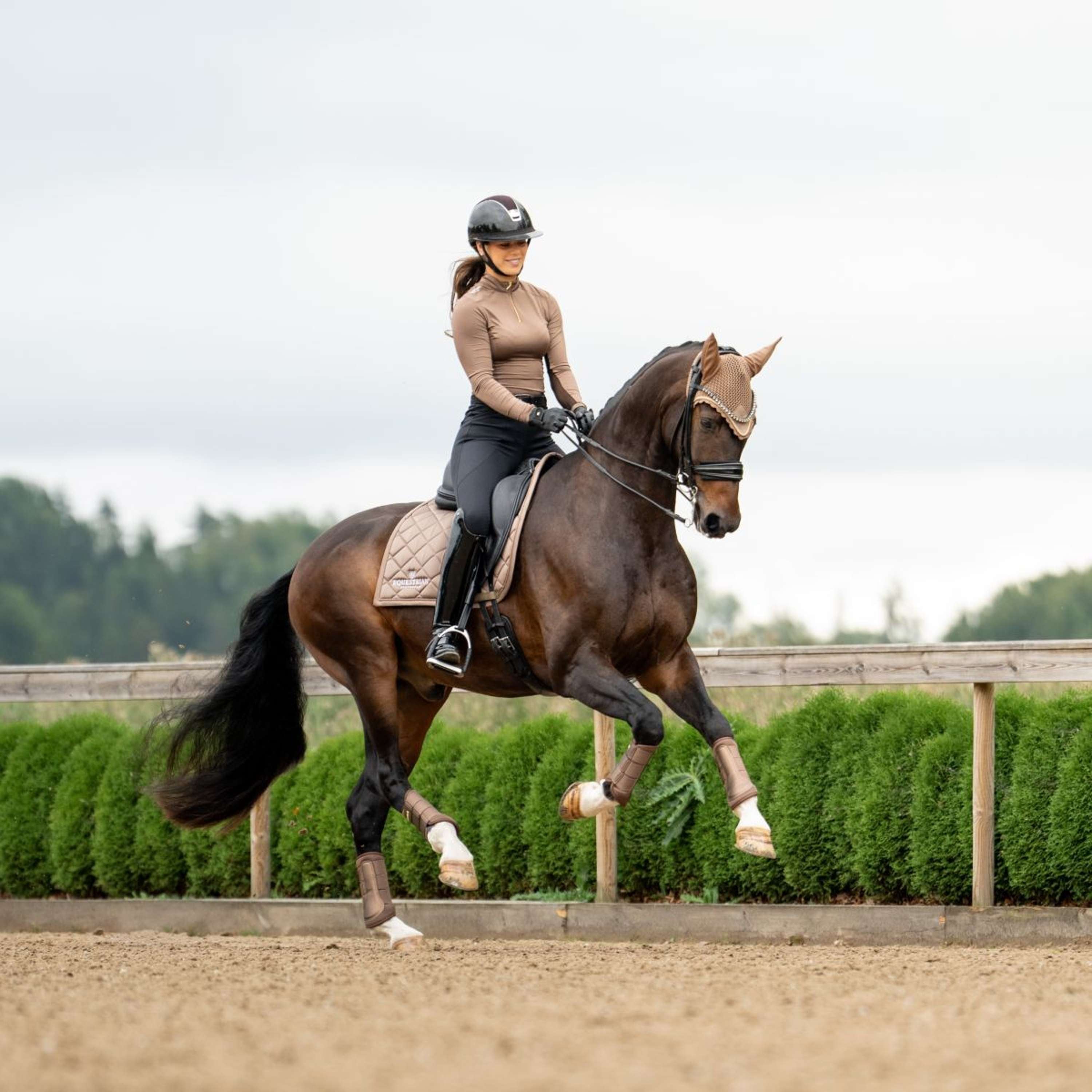 Equestrian Stockholm Saddlepad Line Dressage Champagne
