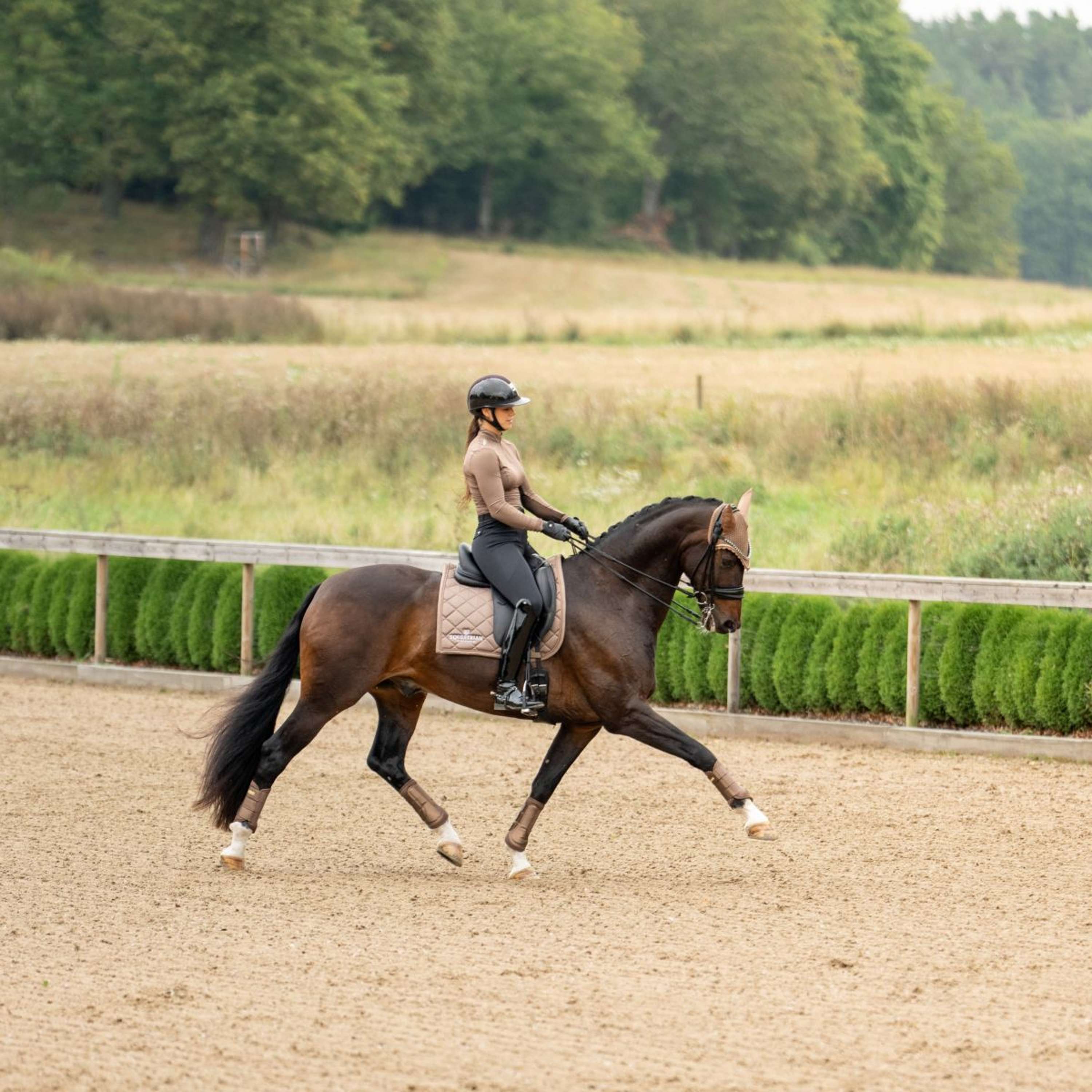 Equestrian Stockholm Saddlepad Line Dressage Champagne