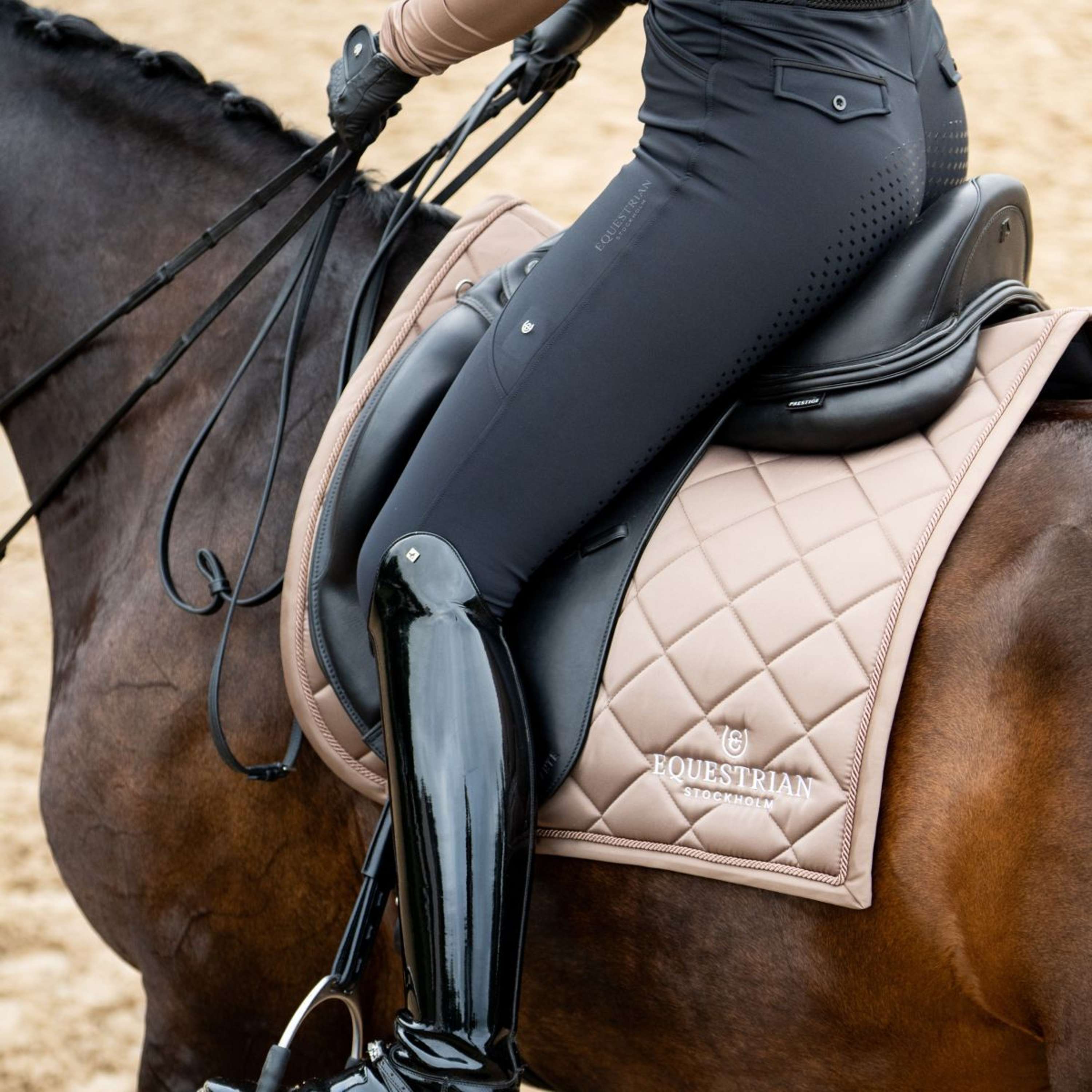 Equestrian Stockholm Saddlepad Line Dressage Champagne