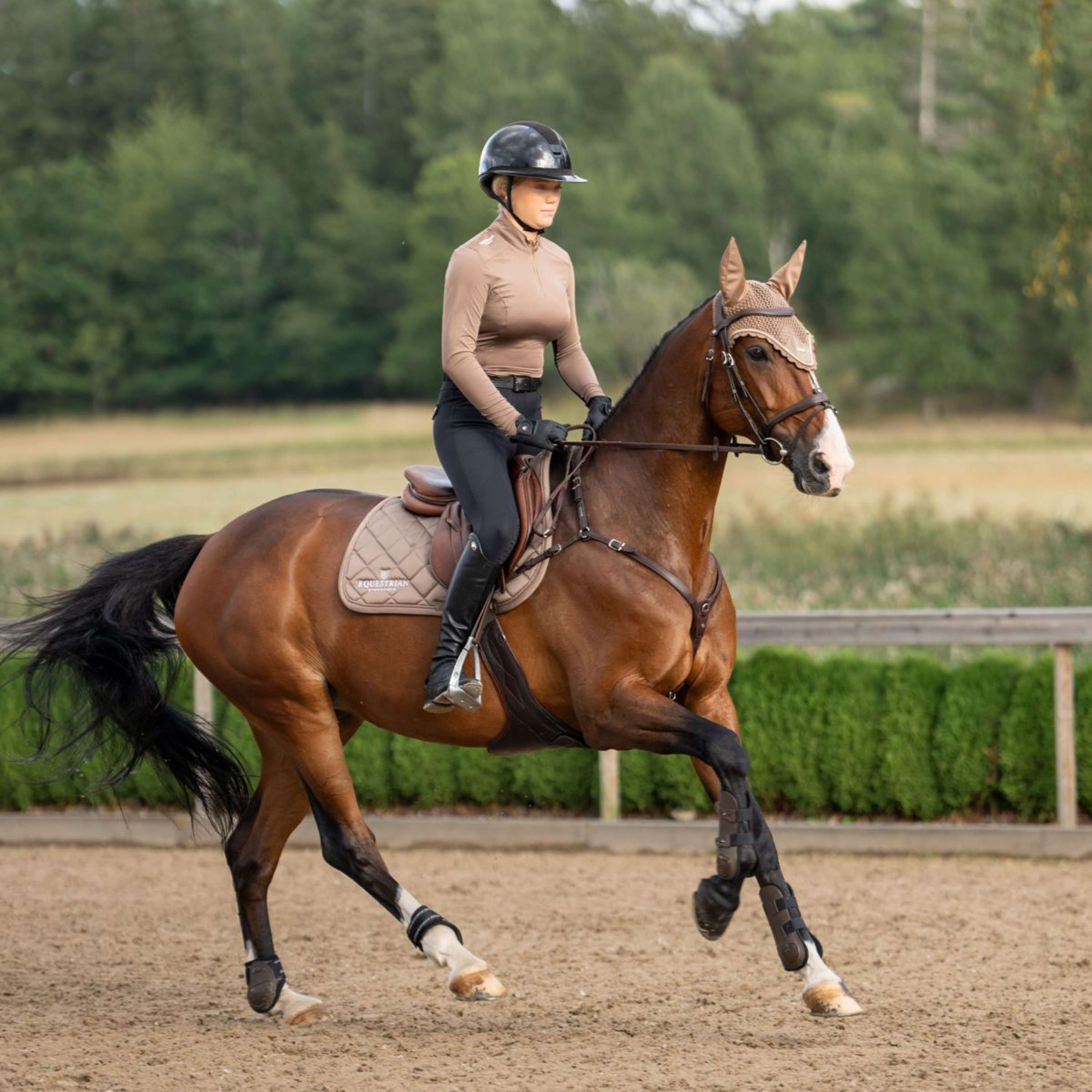 Equestrian Stockholm Saddlepad Line Jumping Champagne