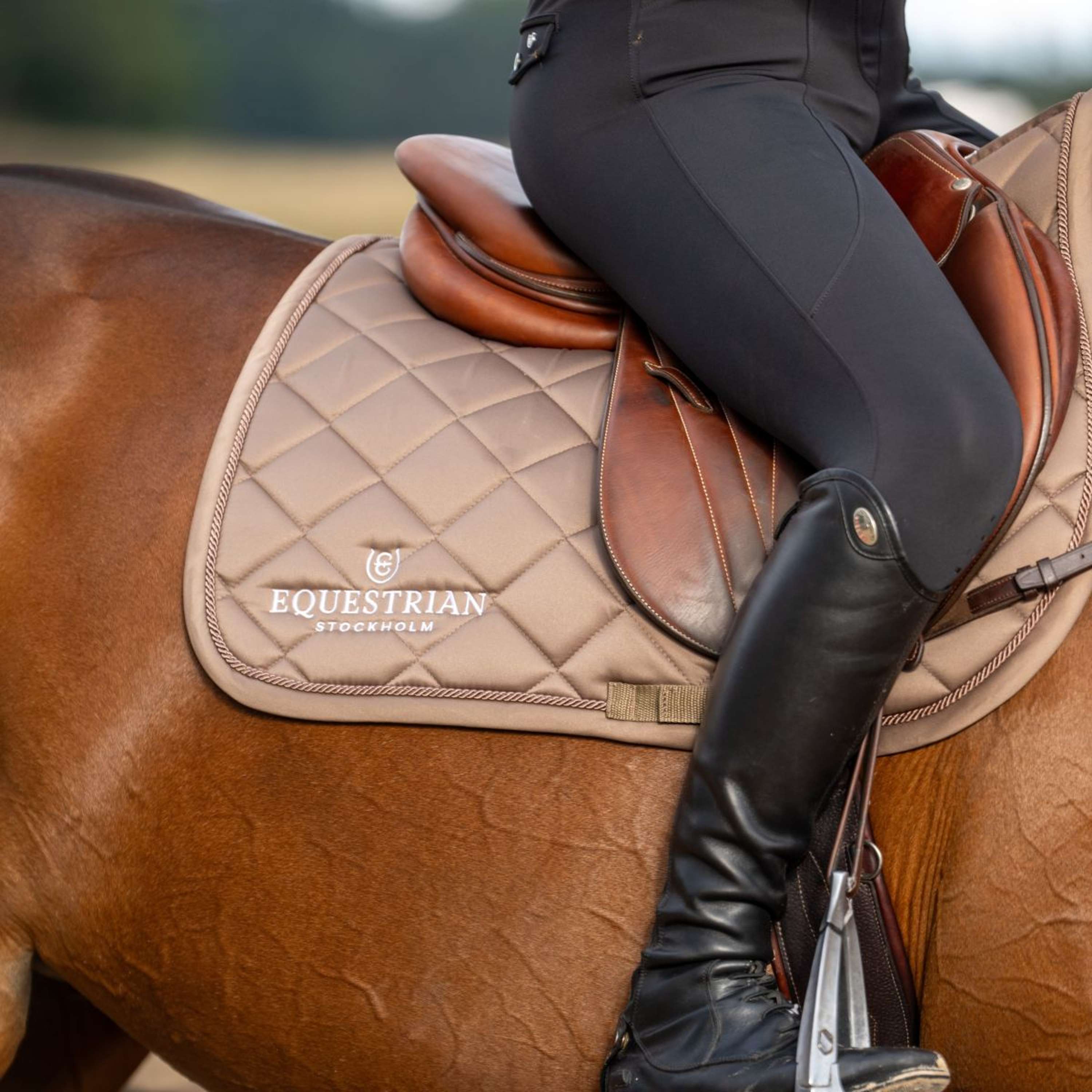 Equestrian Stockholm Saddlepad Line Jumping Champagne