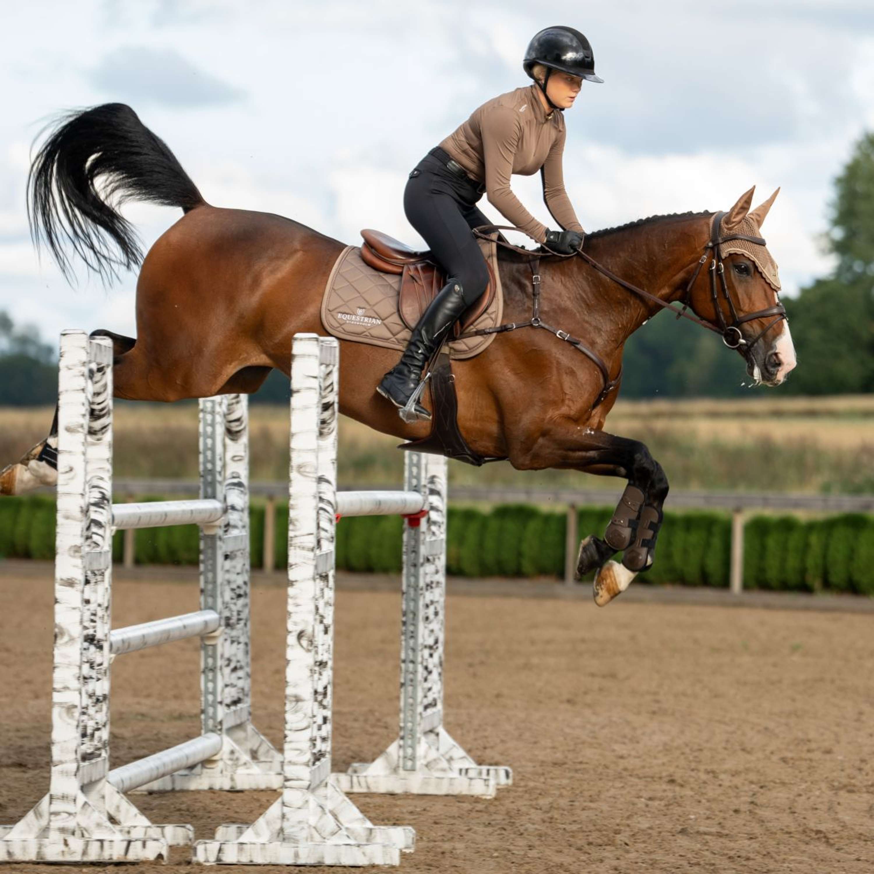 Equestrian Stockholm Saddlepad Line Jumping Champagne