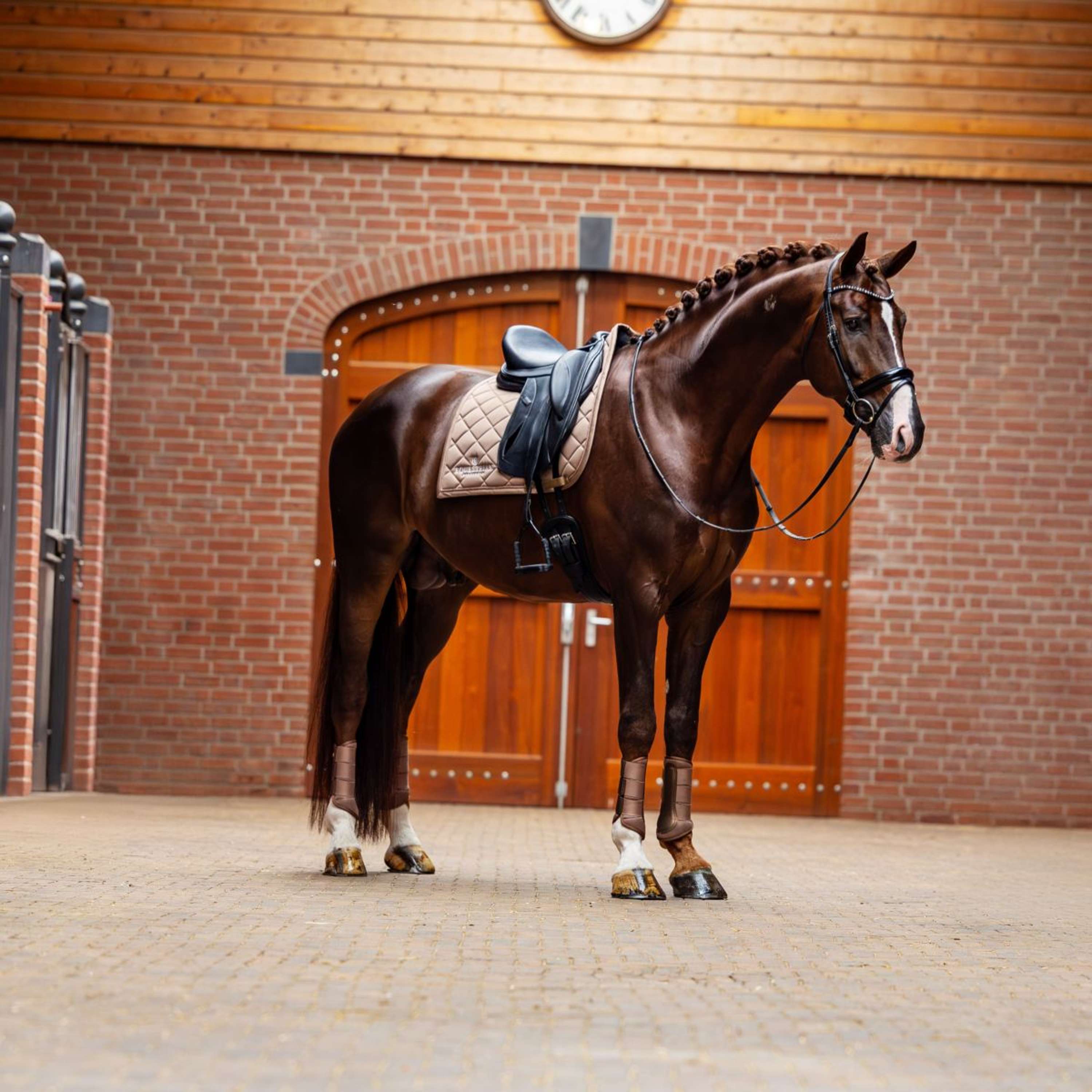 Equestrian Stockholm Saddlepad Line Dressage Champagne