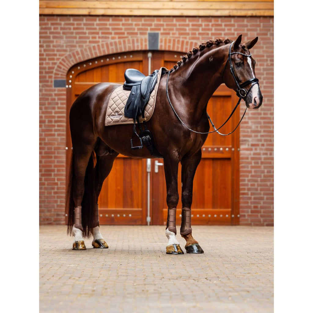 Equestrian Stockholm Leg Protectors Classic Mesh Champagne