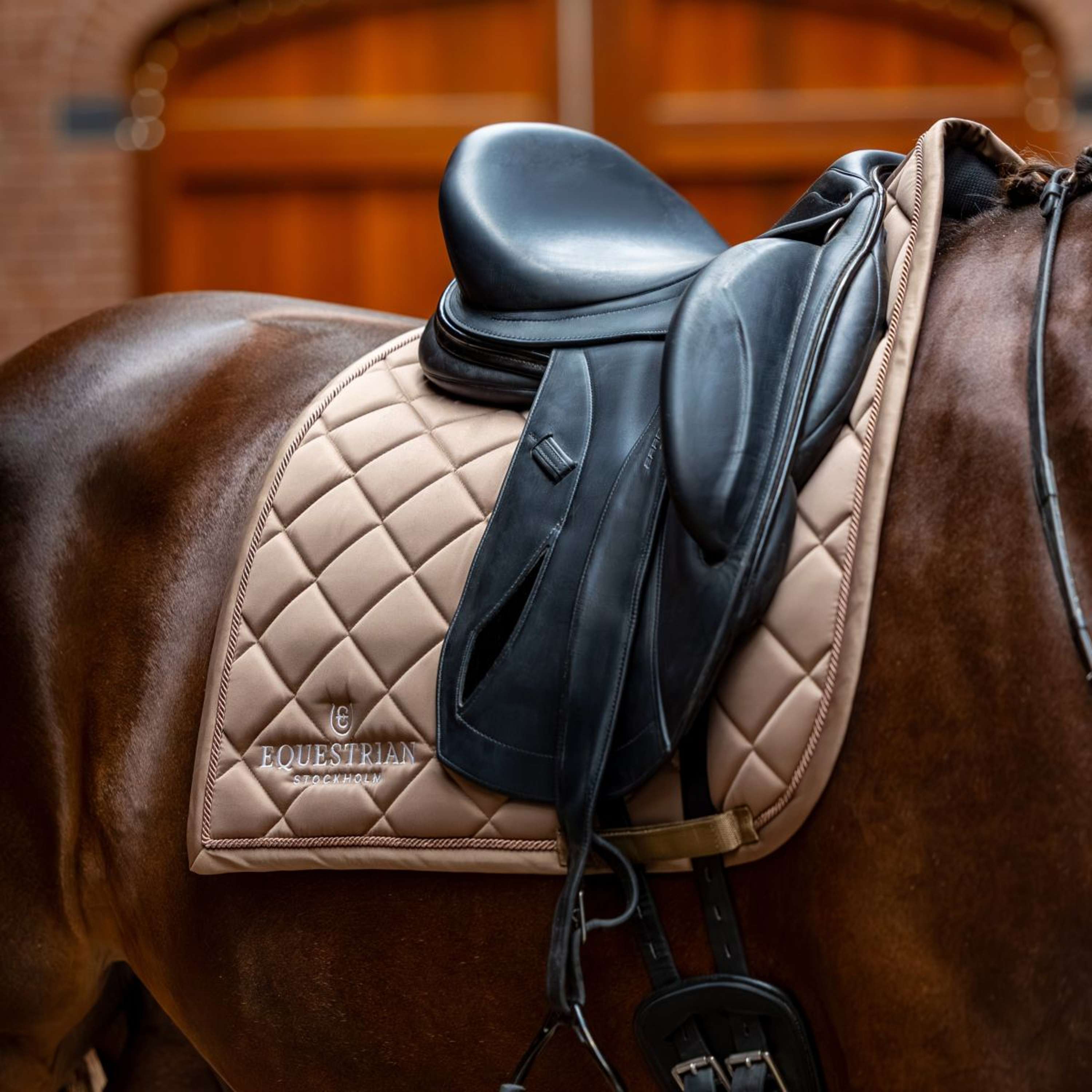 Equestrian Stockholm Saddlepad Line Dressage Champagne