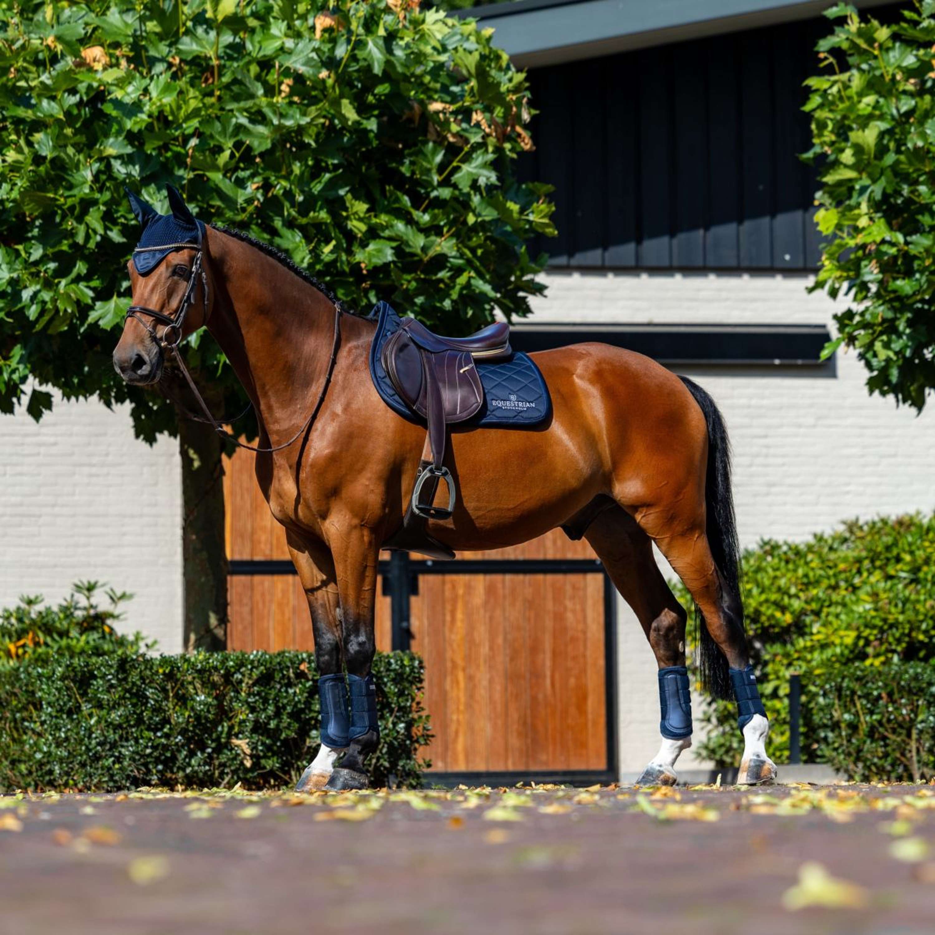 Equestrian Stockholm Saddlepad Line Jumping Navy
