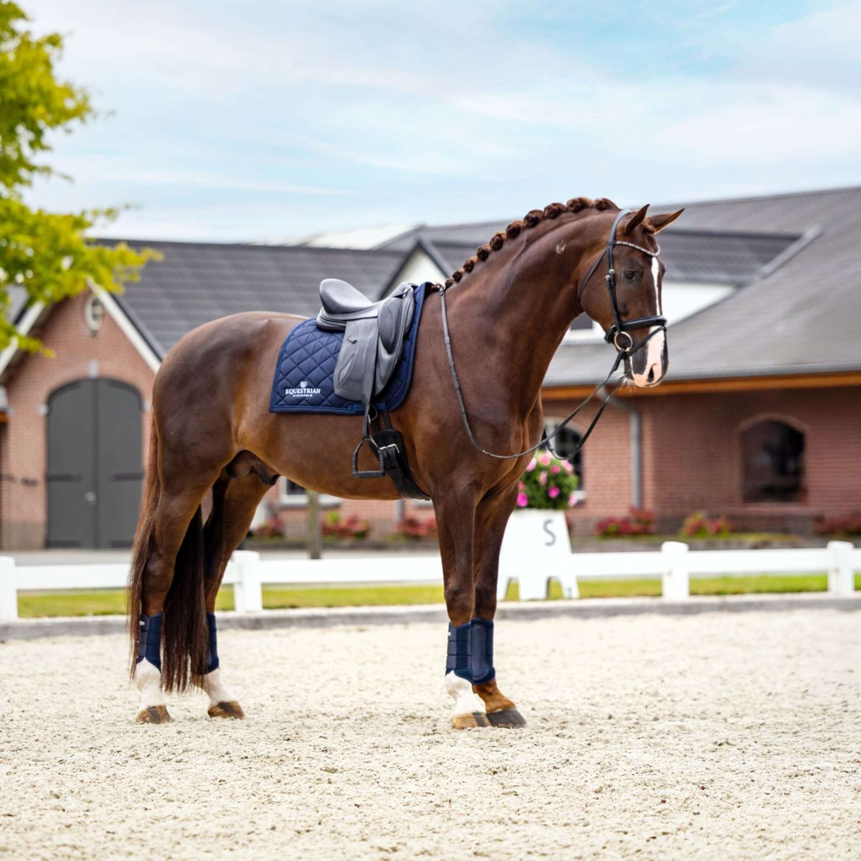 Equestrian Stockholm Saddlepad Line Dressage Navy