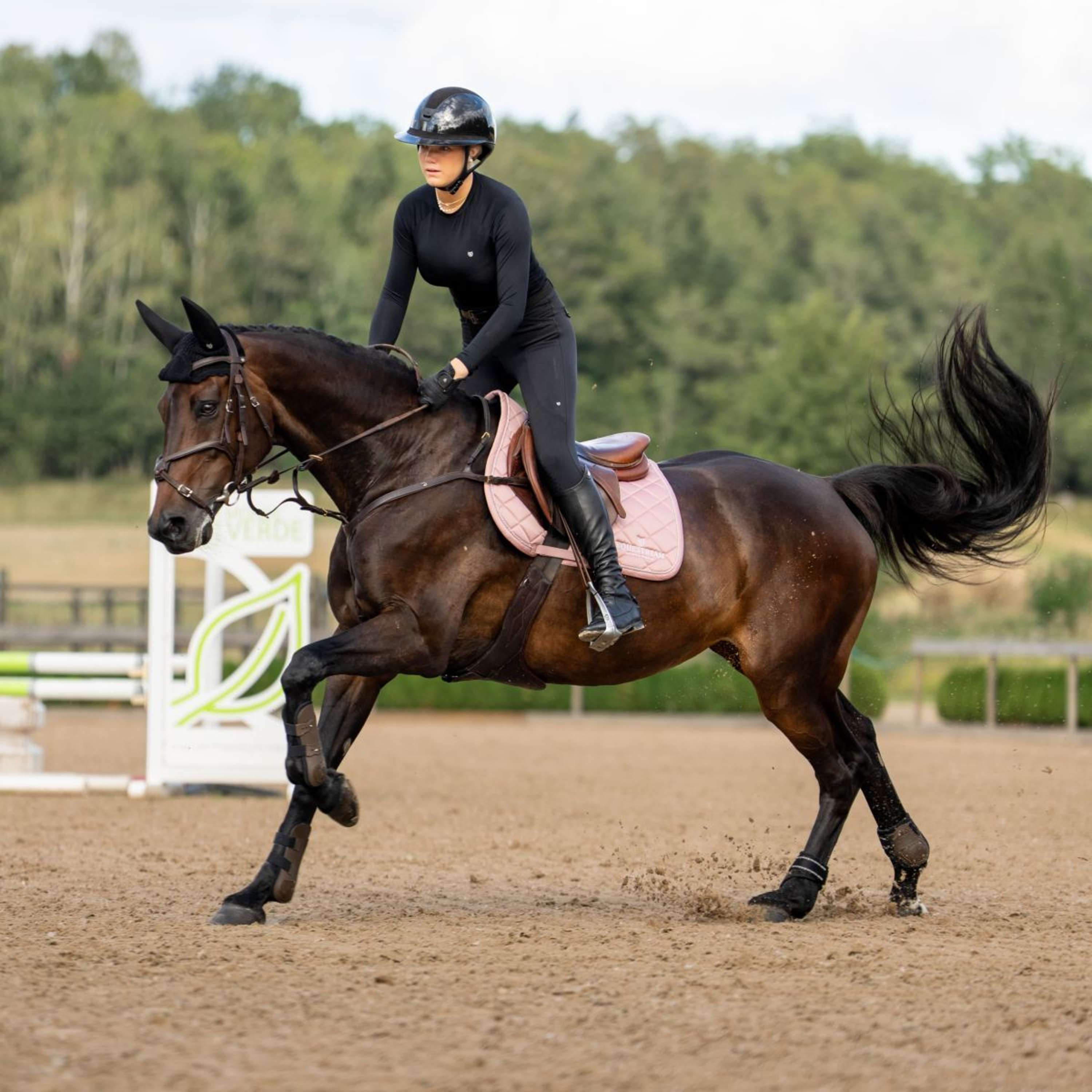 Equestrian Stockholm Saddlepad Line Jumping Pink