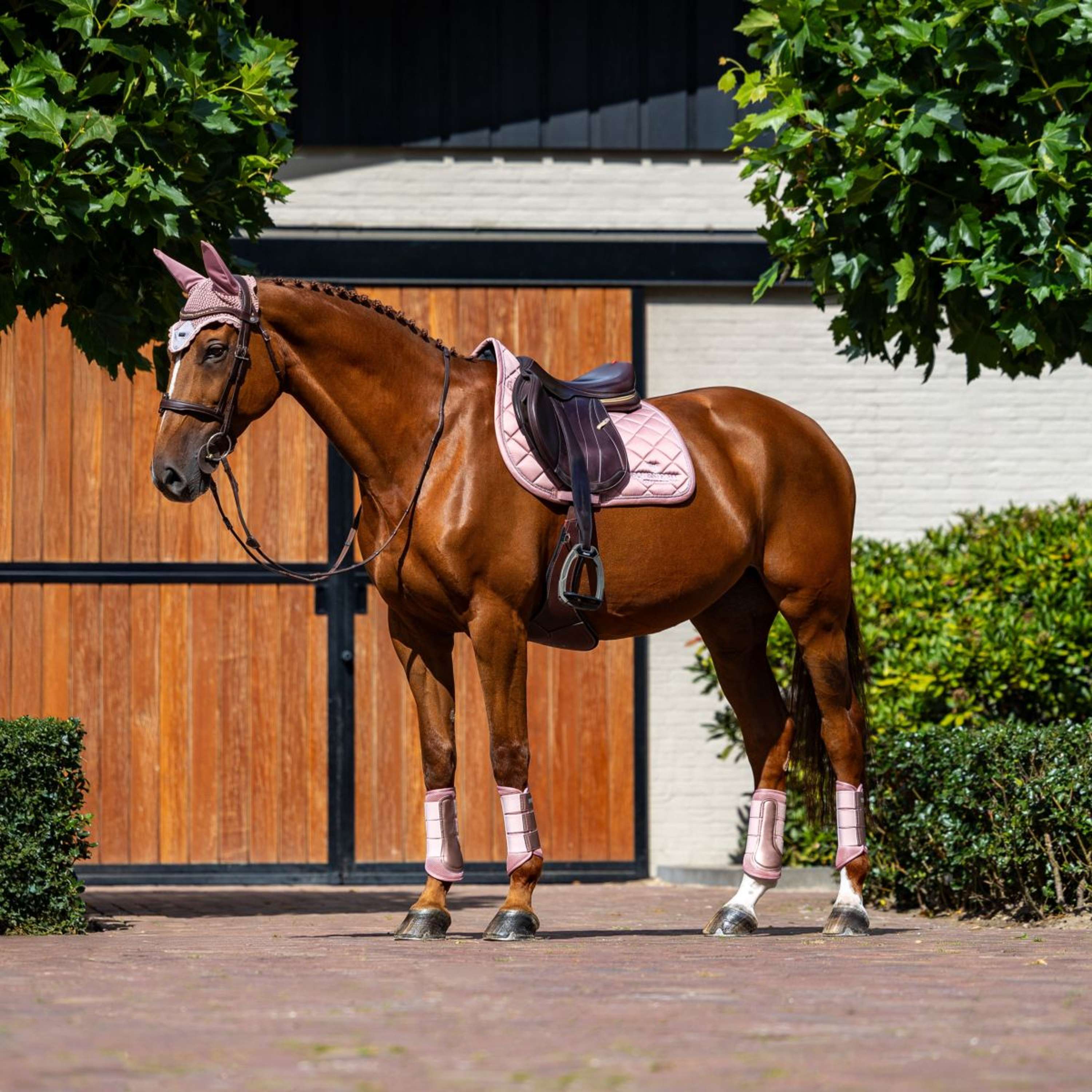 Equestrian Stockholm Saddlepad Line Jumping Pink
