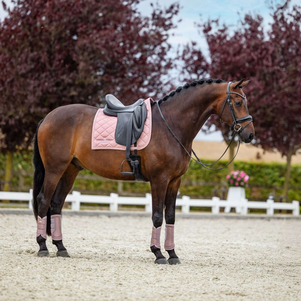 Equestrian Stockholm Saddlepad Line Dressage Pink