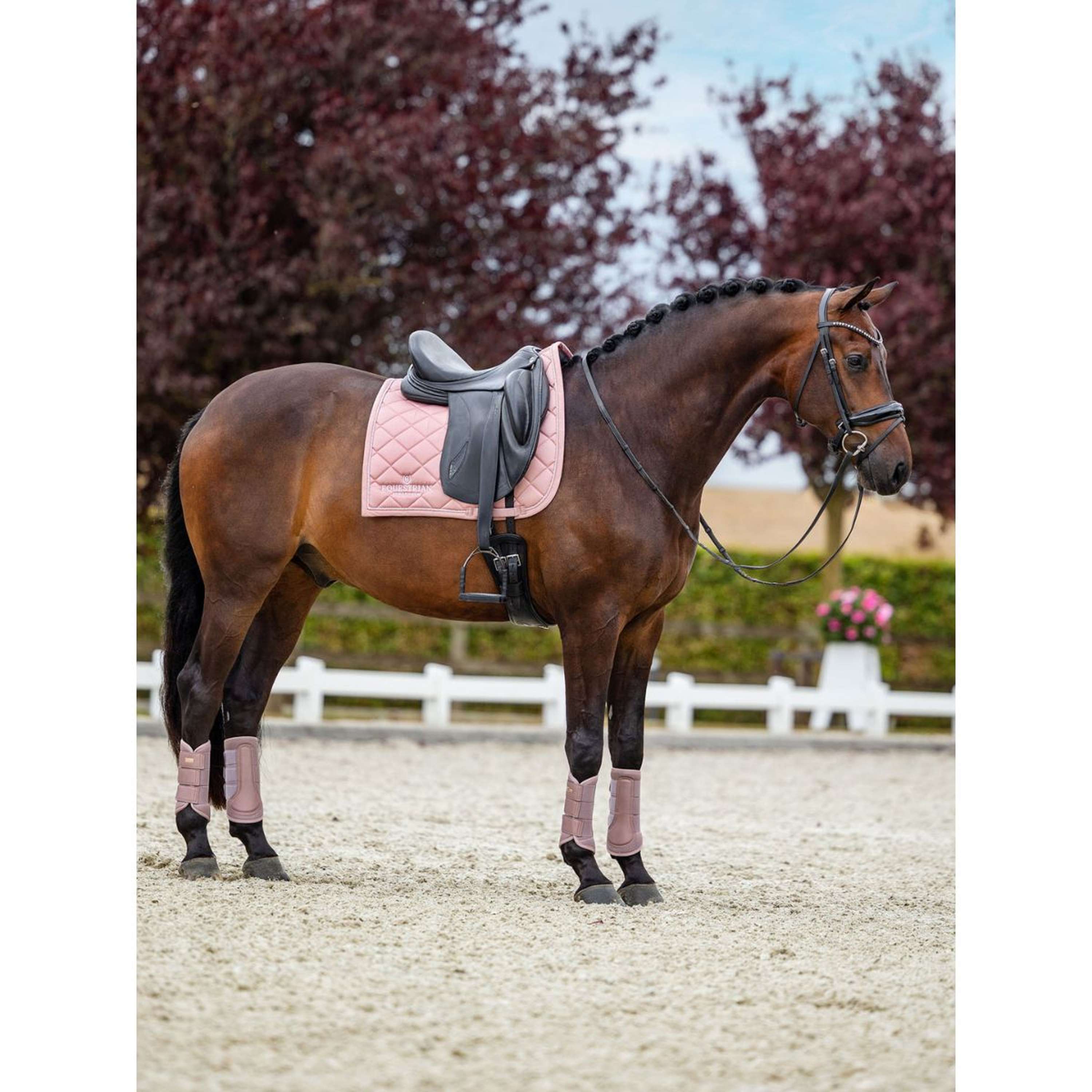 Equestrian Stockholm Leg Protectors Classic Mesh Pink