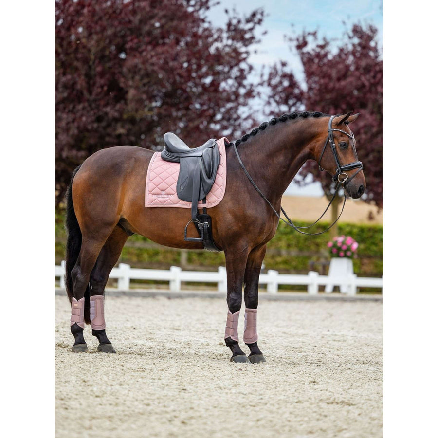 Equestrian Stockholm Leg Protectors Classic Mesh Pink