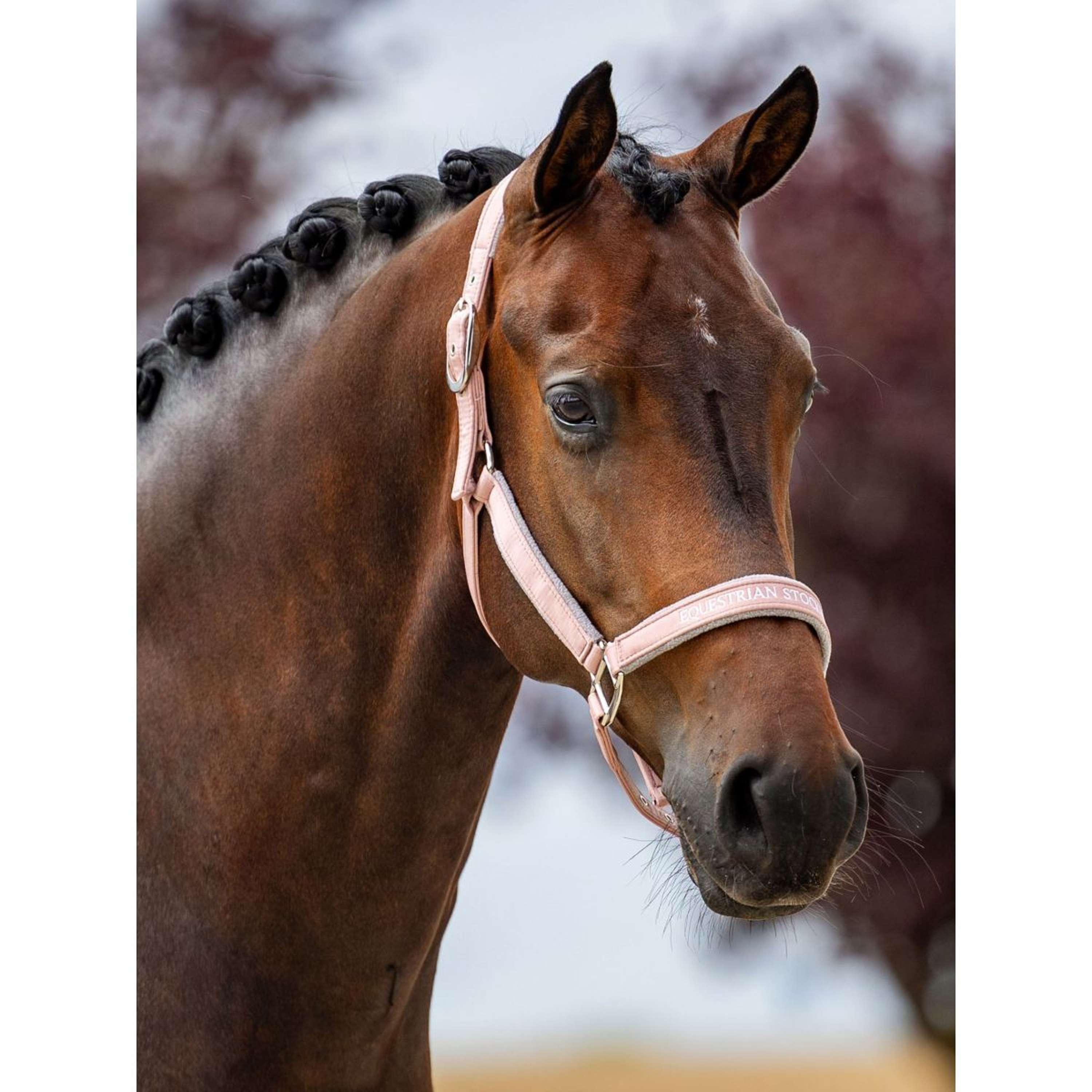 Equestrian Stockholm Halter Line Pink | Agradi.com