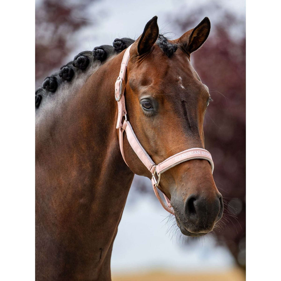 Equestrian Stockholm Halter Line Pink