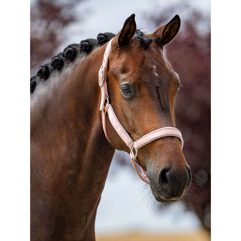 Equestrian Stockholm Halter Line Pink