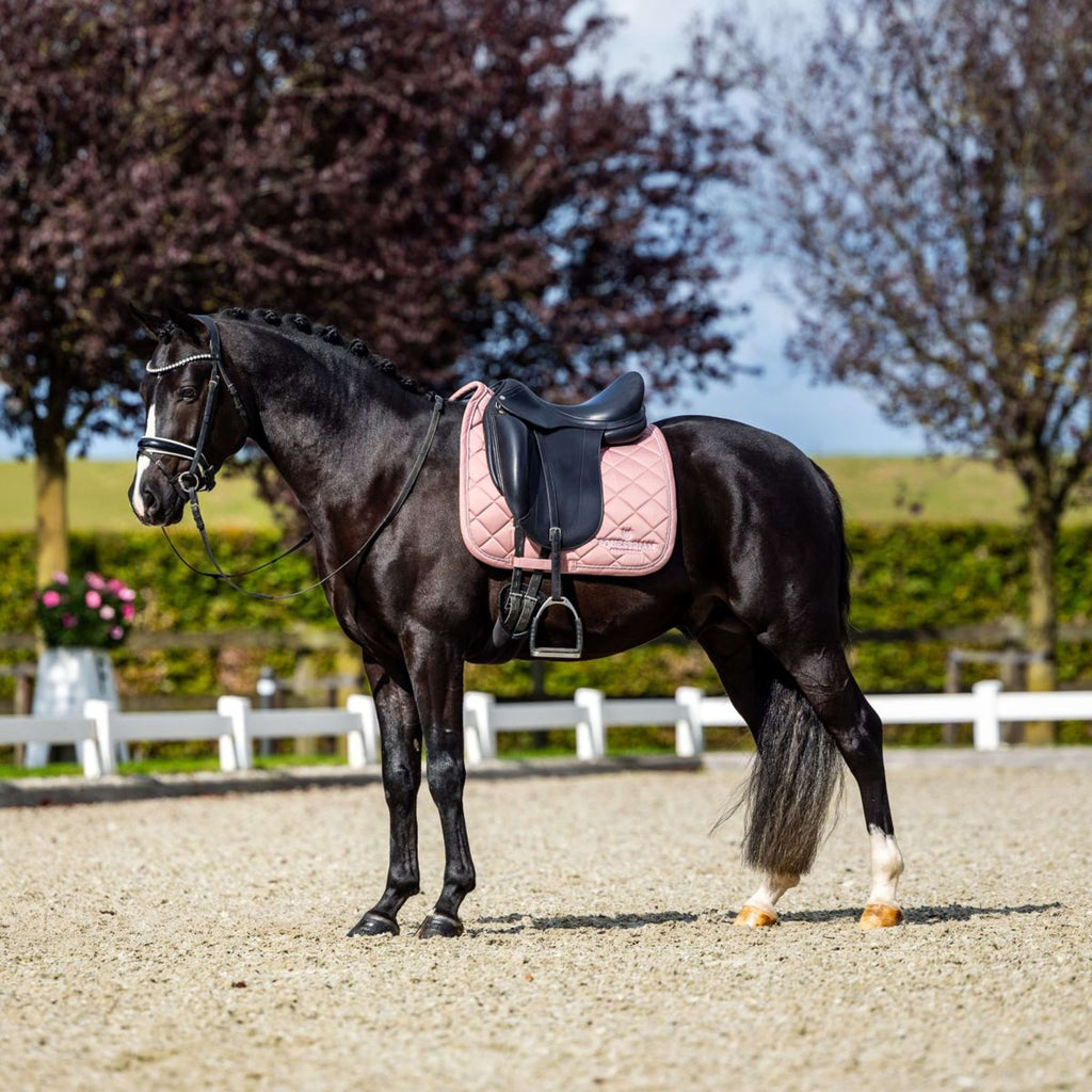 Equestrian Stockholm Saddlepad Line Dressage Pink