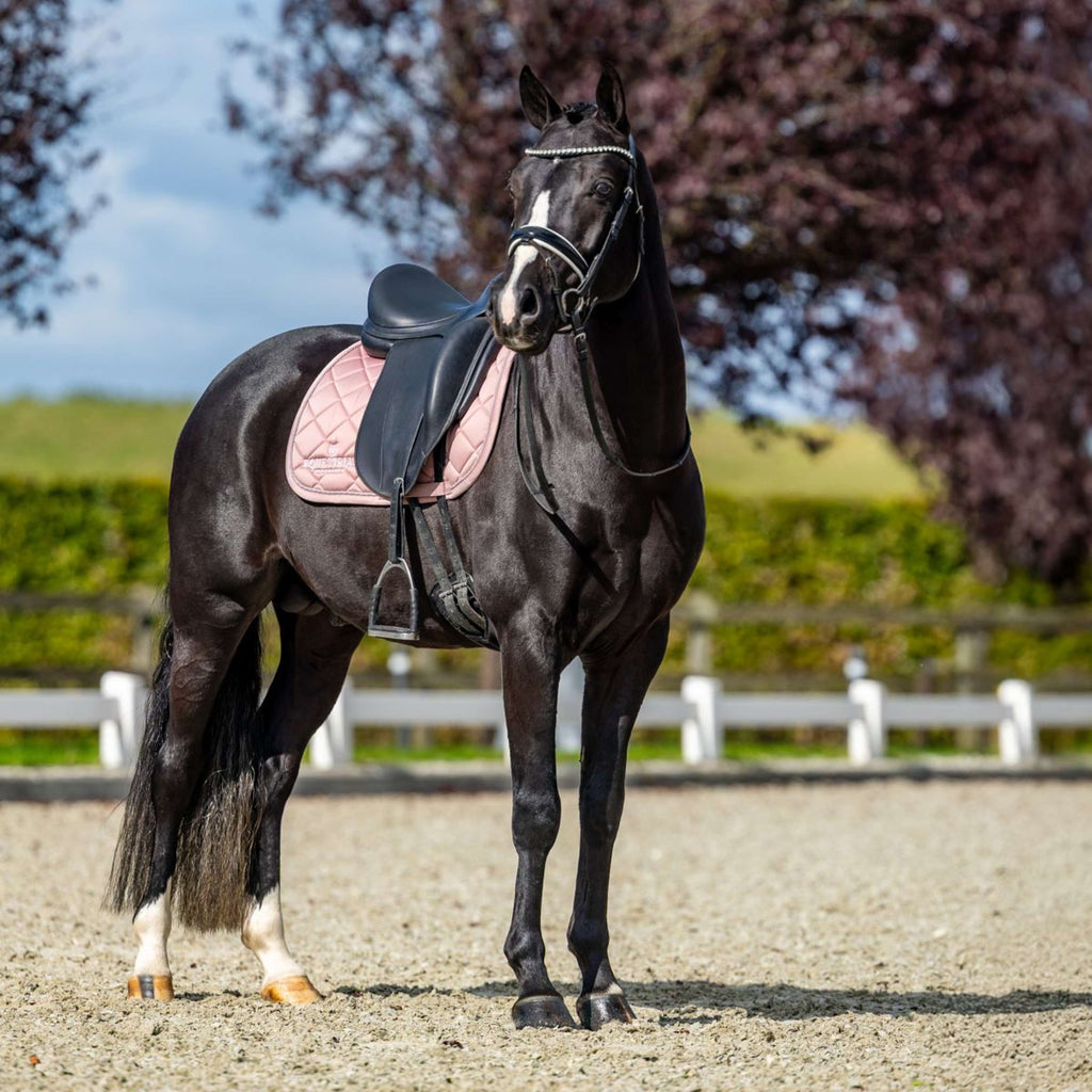 Equestrian Stockholm Saddlepad Line Dressage Pink