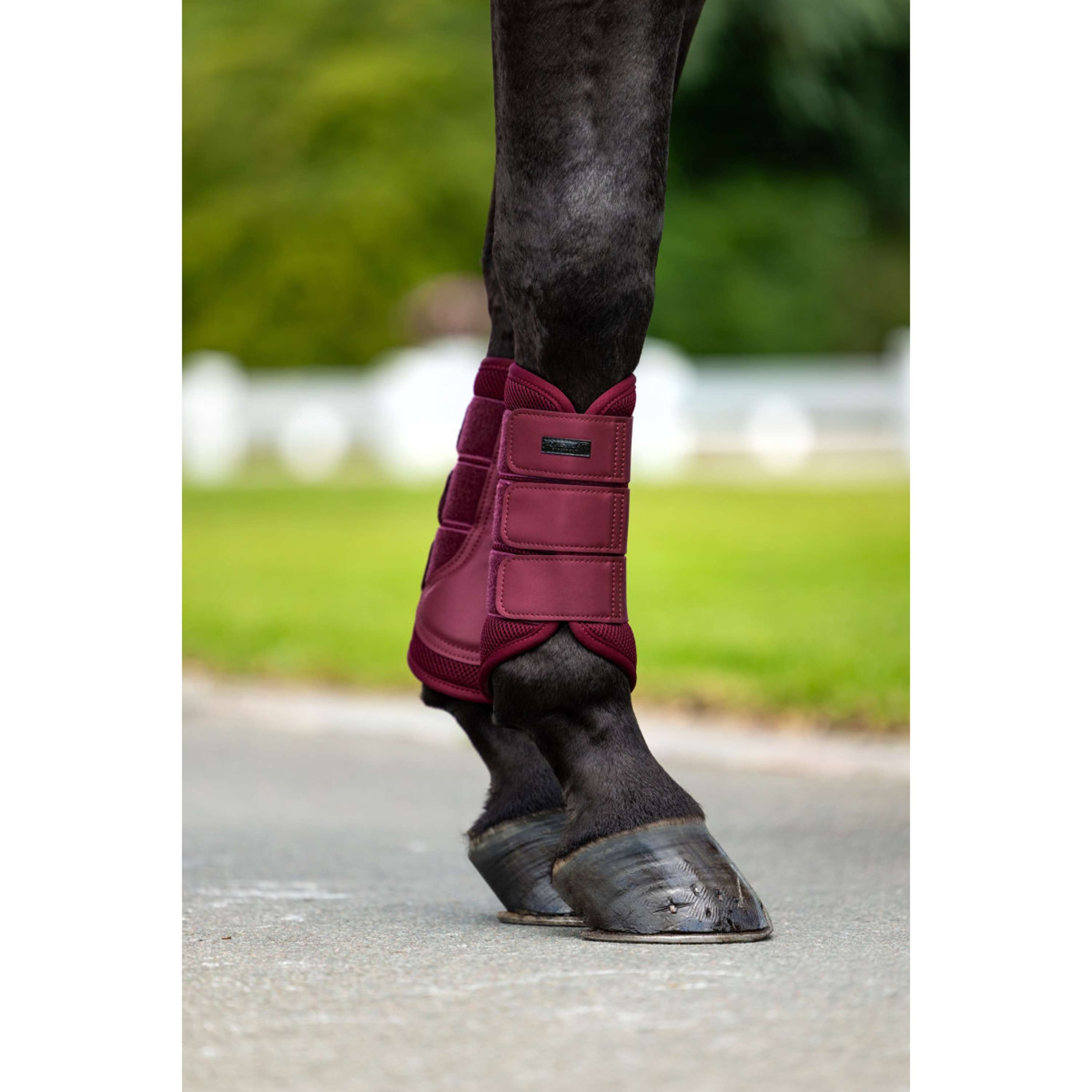 Equestrian Stockholm Leg Protectors Mesh Merlot
