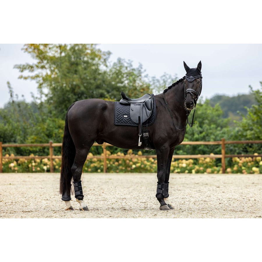 Equestrian Stockholm Ear Bonnet Black Edition