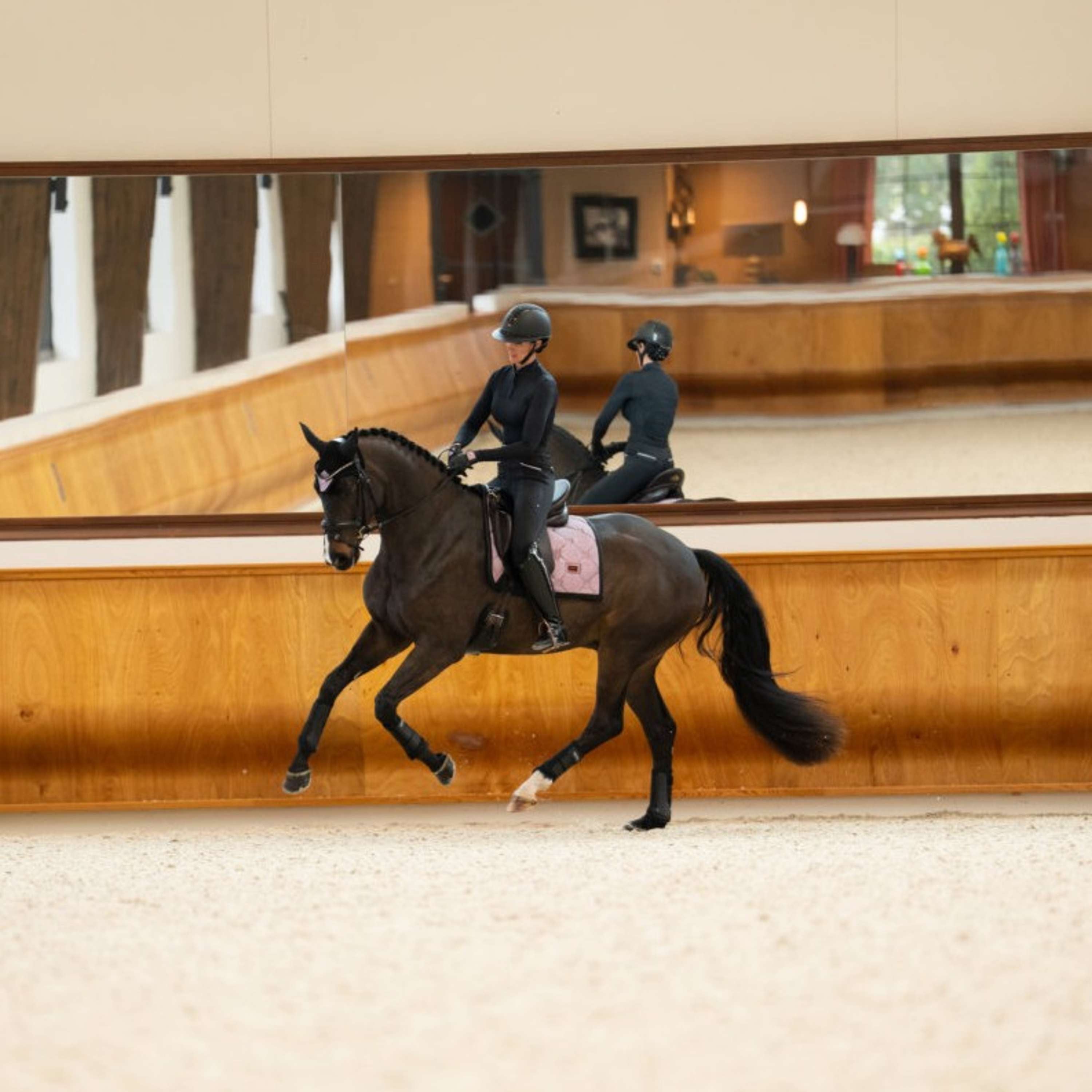 Equestrian Stockholm Saddlepad Dressage Pink Glimmer