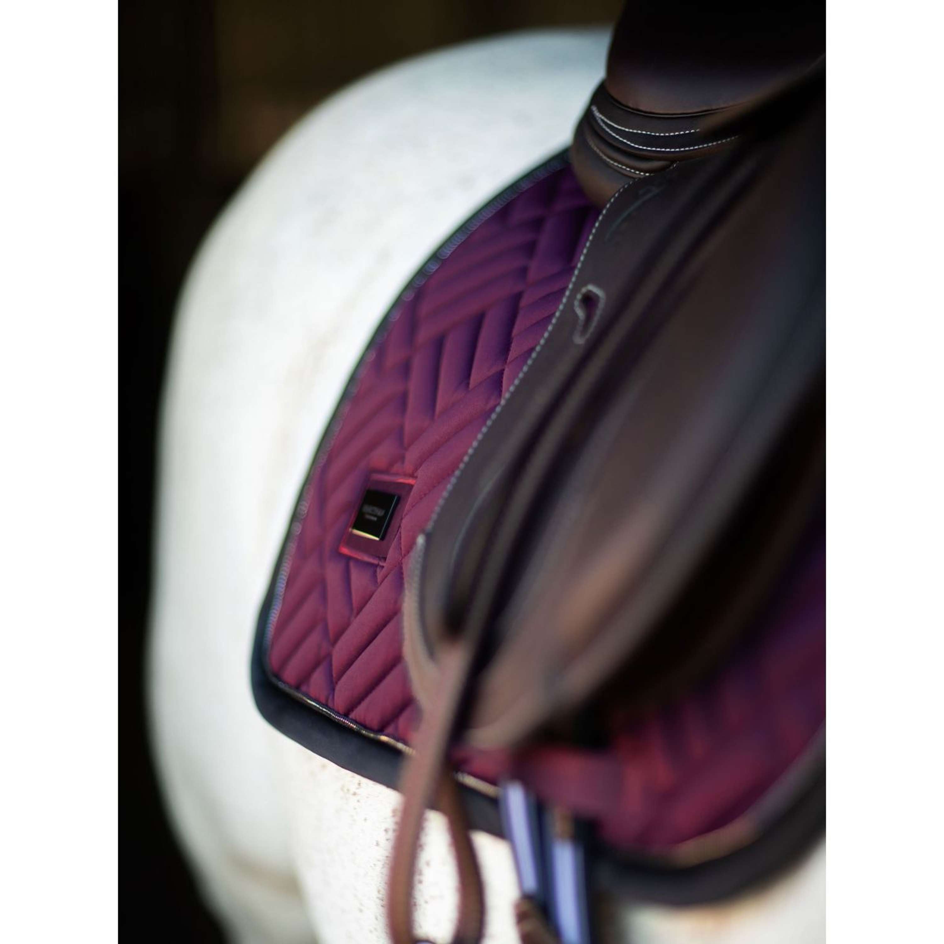 Equestrian Stockholm Saddlepad Modern Jumping Purple Night