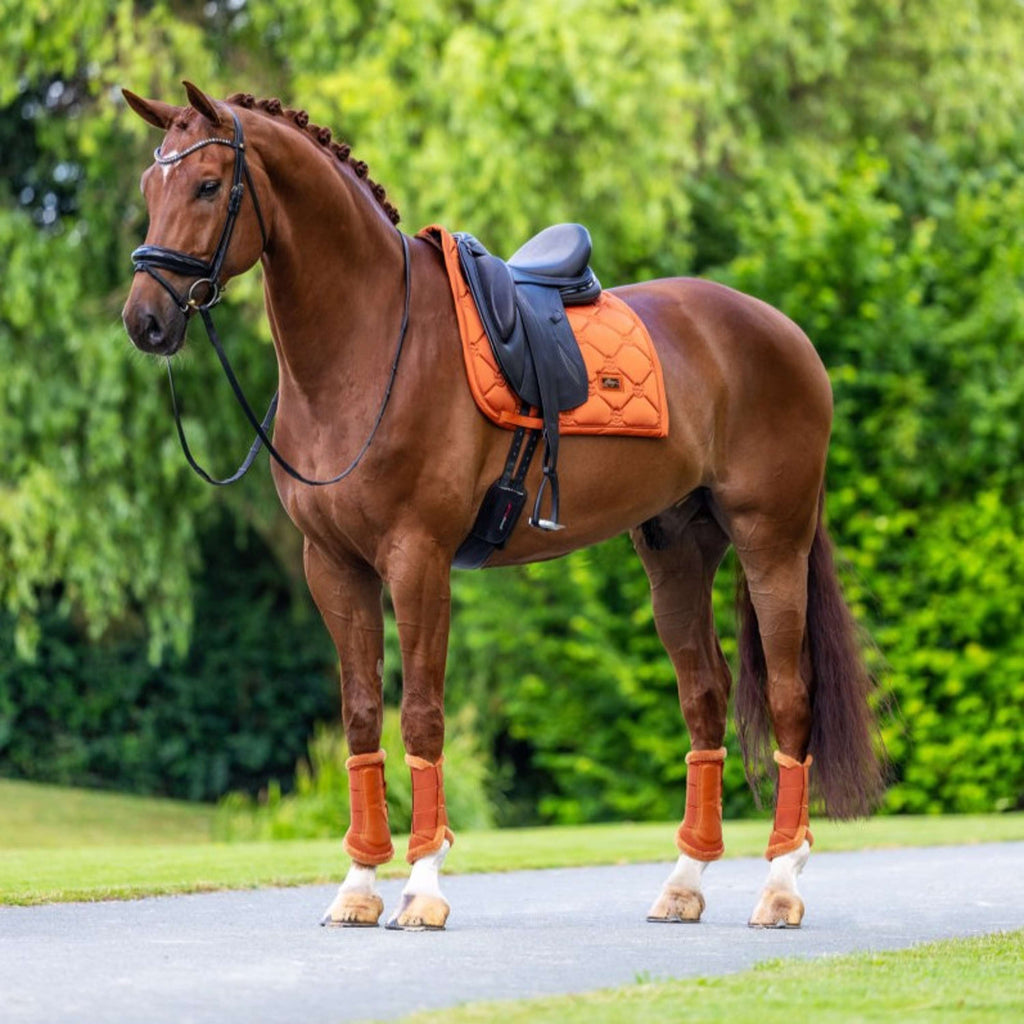 Equestrian Stockholm Saddlepad Satin Dressage Chestnut