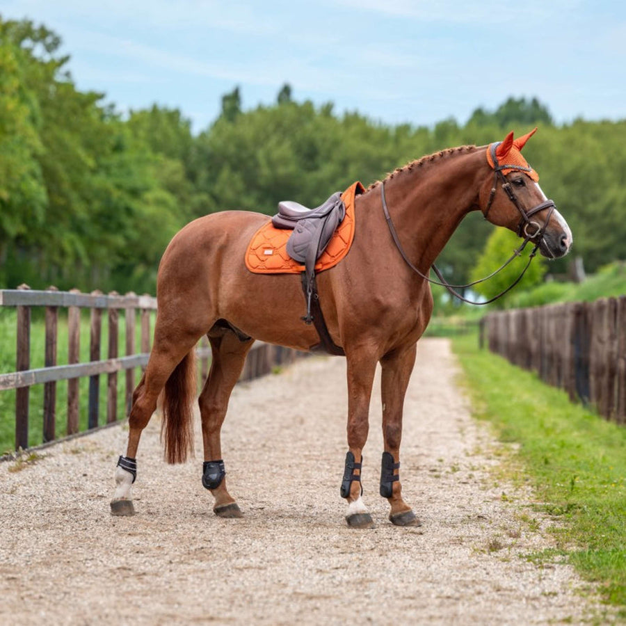 Equestrian Stockholm Saddlepad Satin Jumping Chestnut