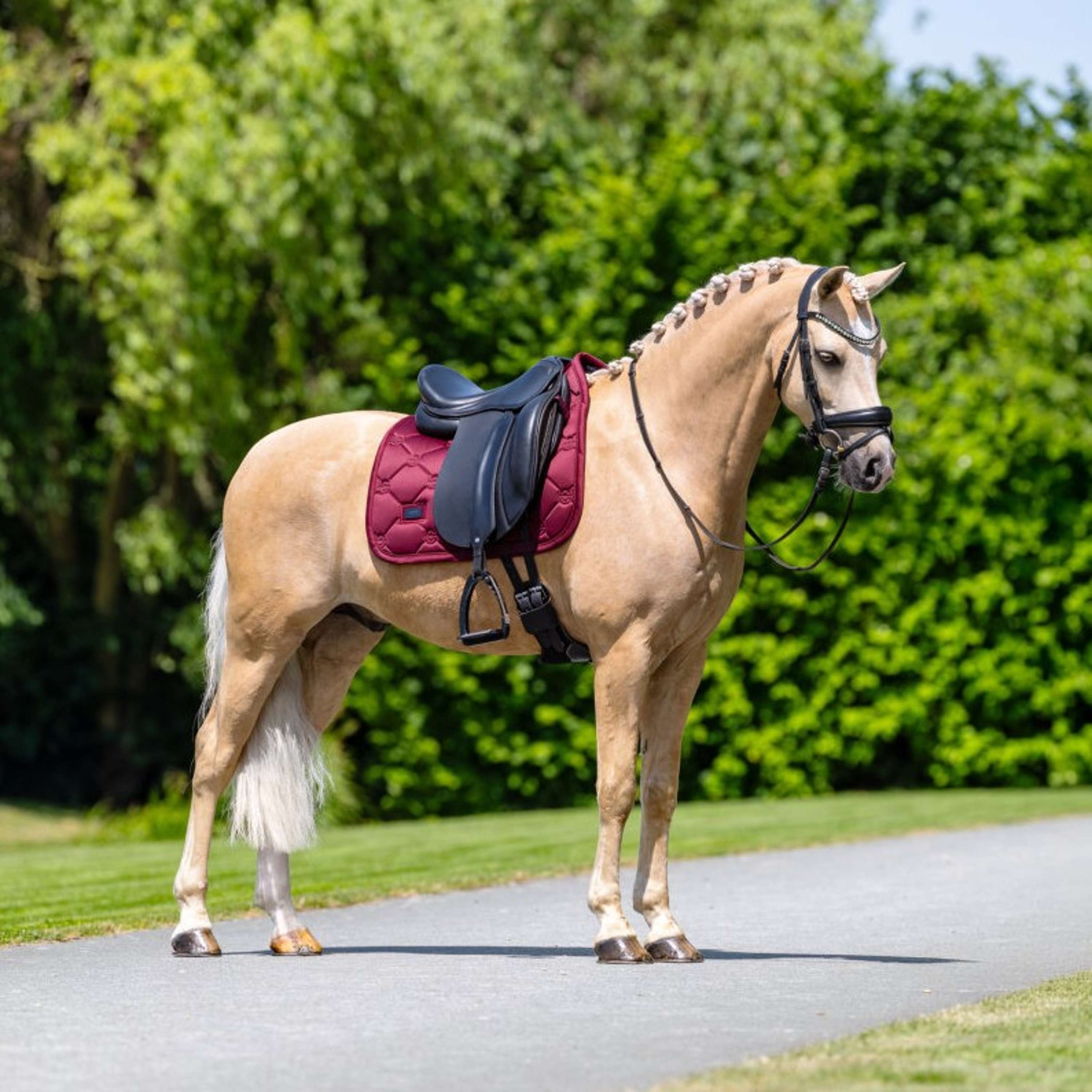 Equestrian Stockholm Saddlepad Satin Dressage Merlot