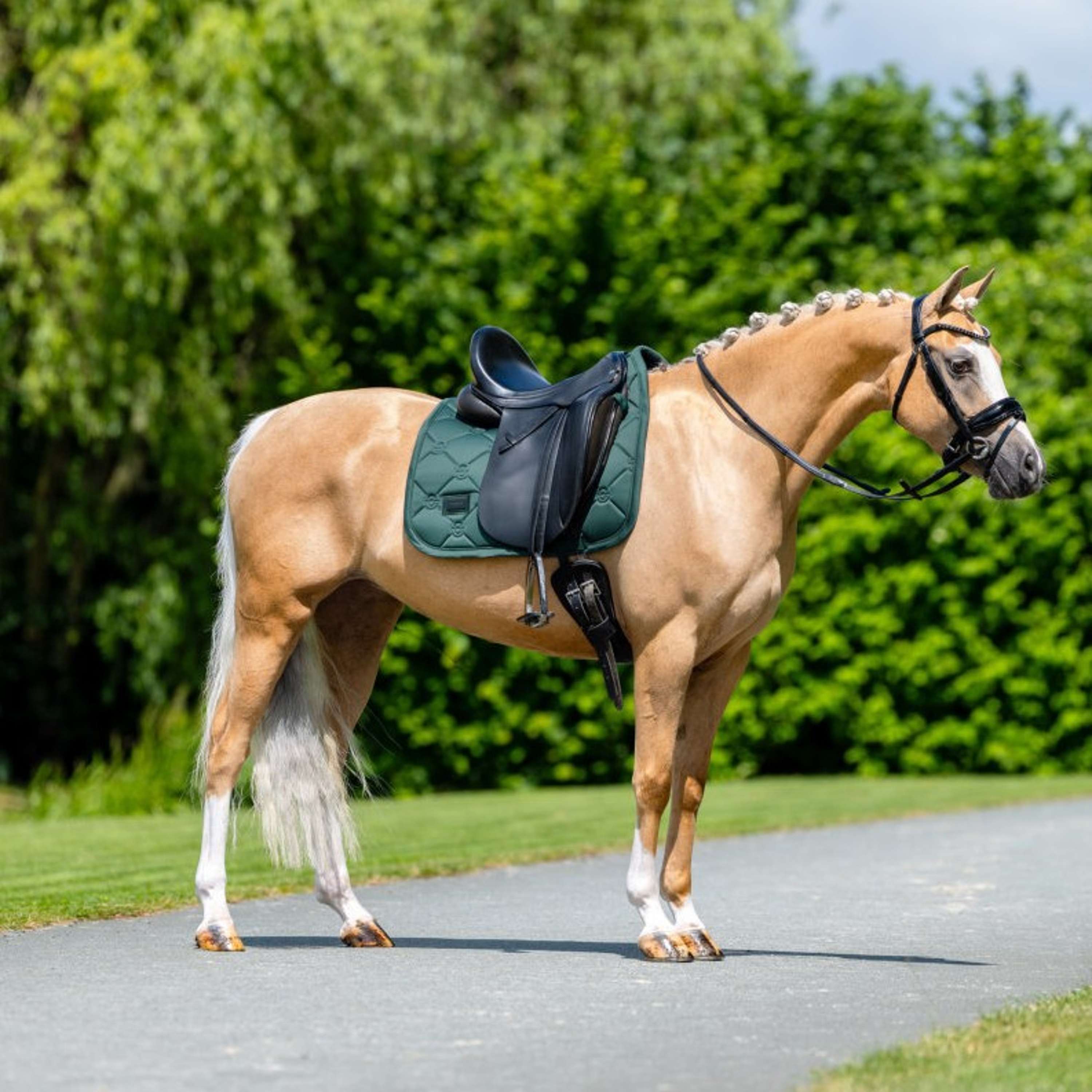 Equestrian Stockholm Saddlepad Satin Dressage Sycamore Green