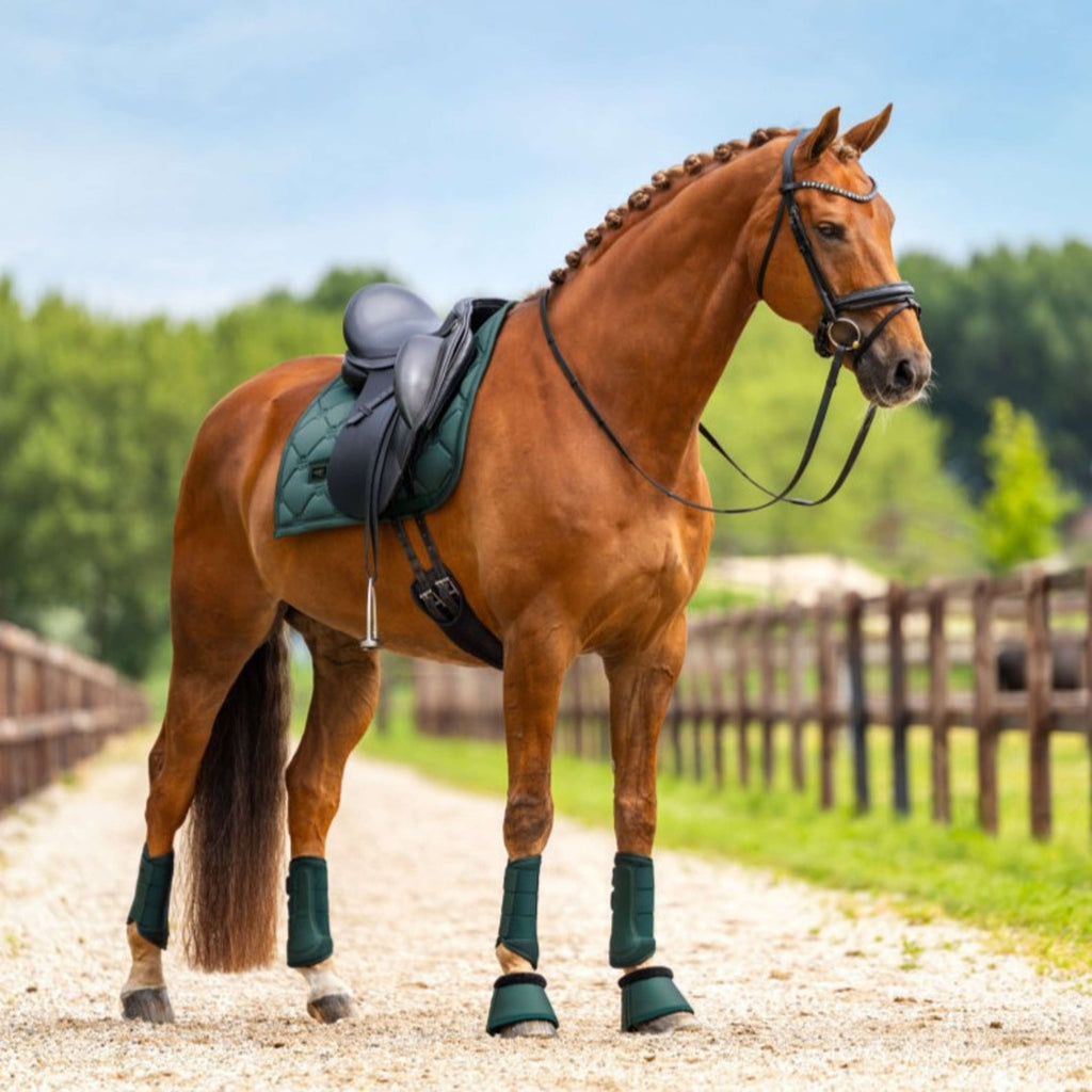 Equestrian Stockholm Saddlepad Satin Dressage Sycamore Green