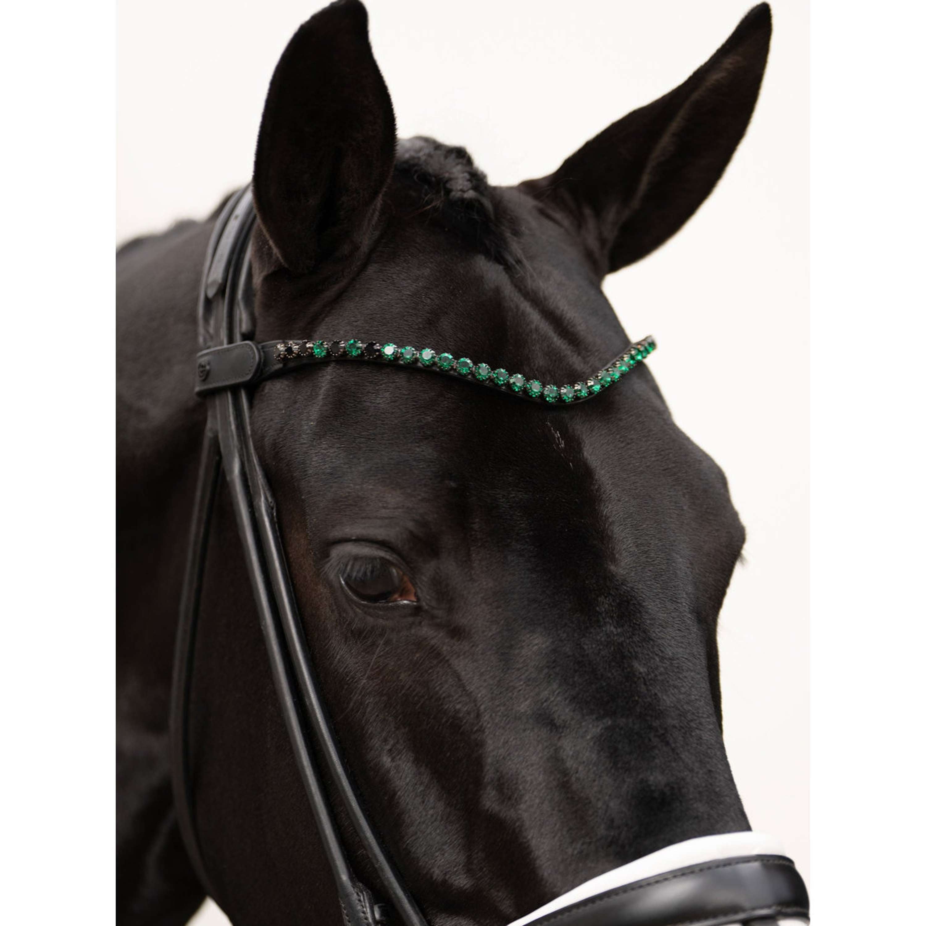 Equestrian Stockholm Browband Faded 8mm Sycamore Green