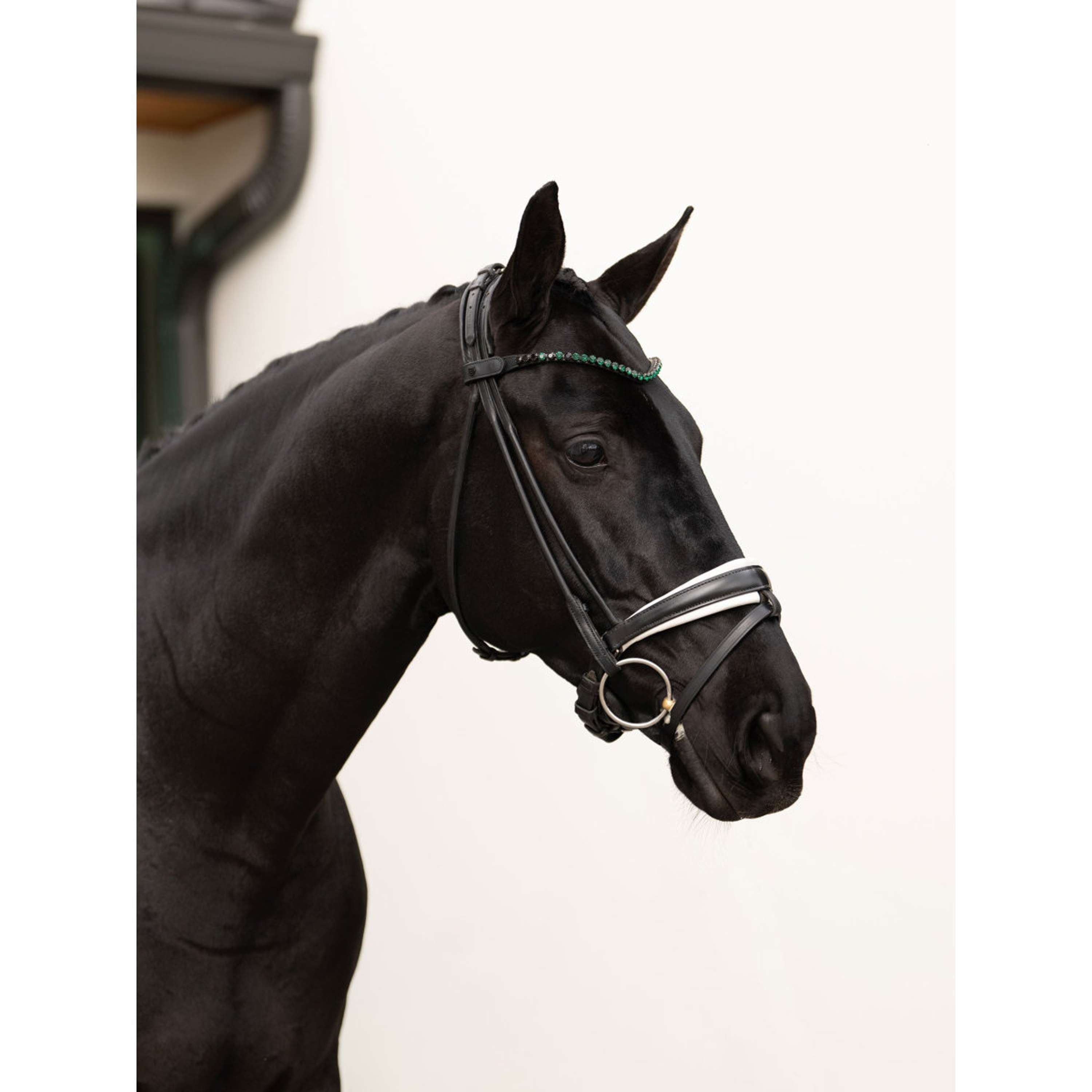 Equestrian Stockholm Browband Faded 8mm Sycamore Green