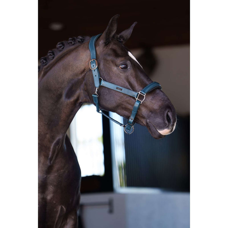 Equestrian Stockholm Halter Glimmer Leather Anatomic Teal Blue
