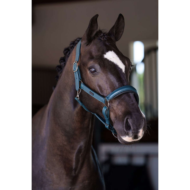 Equestrian Stockholm Halter Glimmer Leather Anatomic Teal Blue