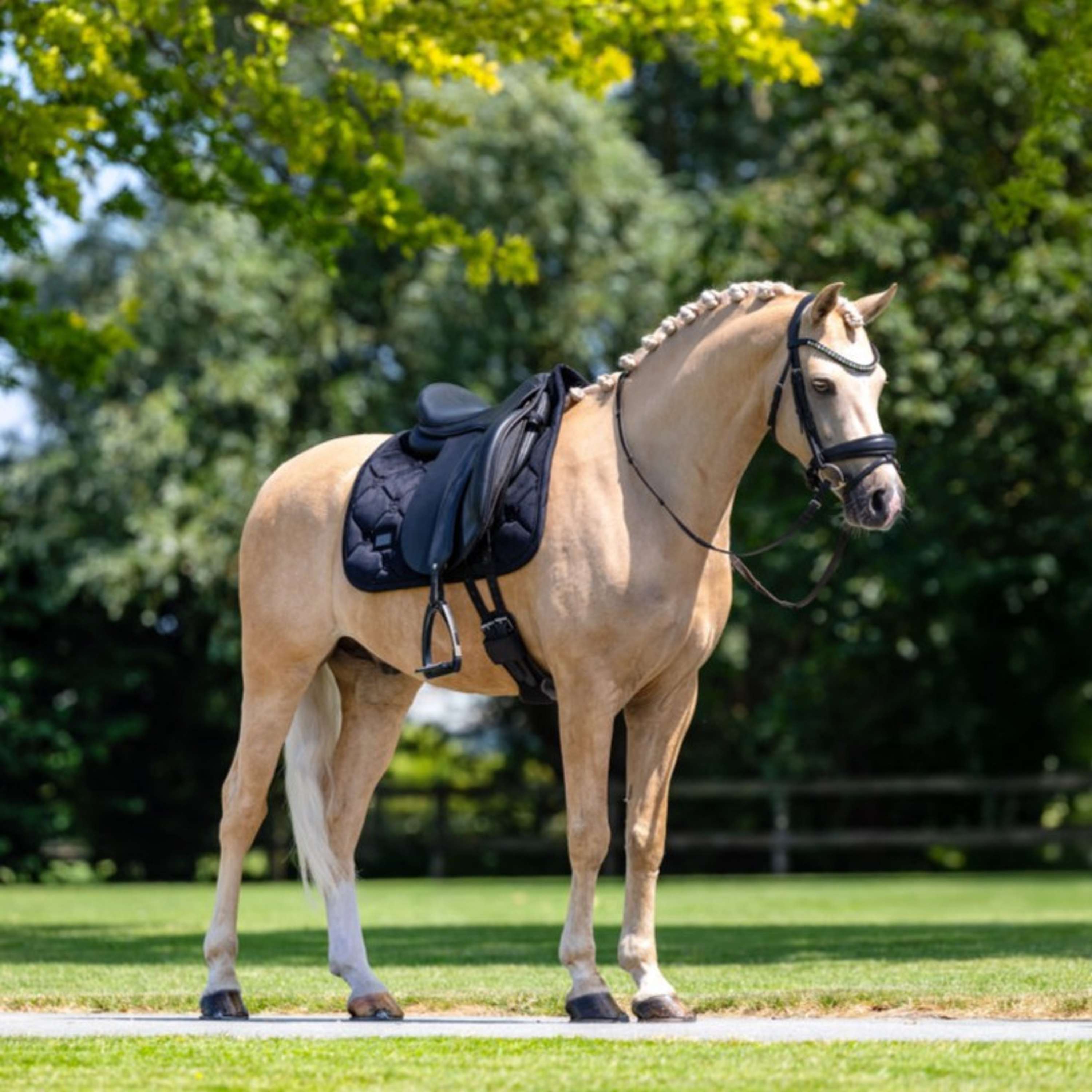 Equestrian Stockholm Saddlepad Velvet Dressage Black