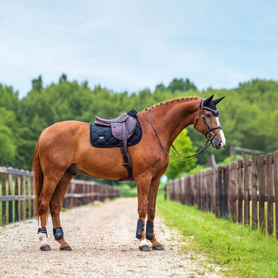 Equestrian Stockholm Saddlepad Velvet Jumping Black