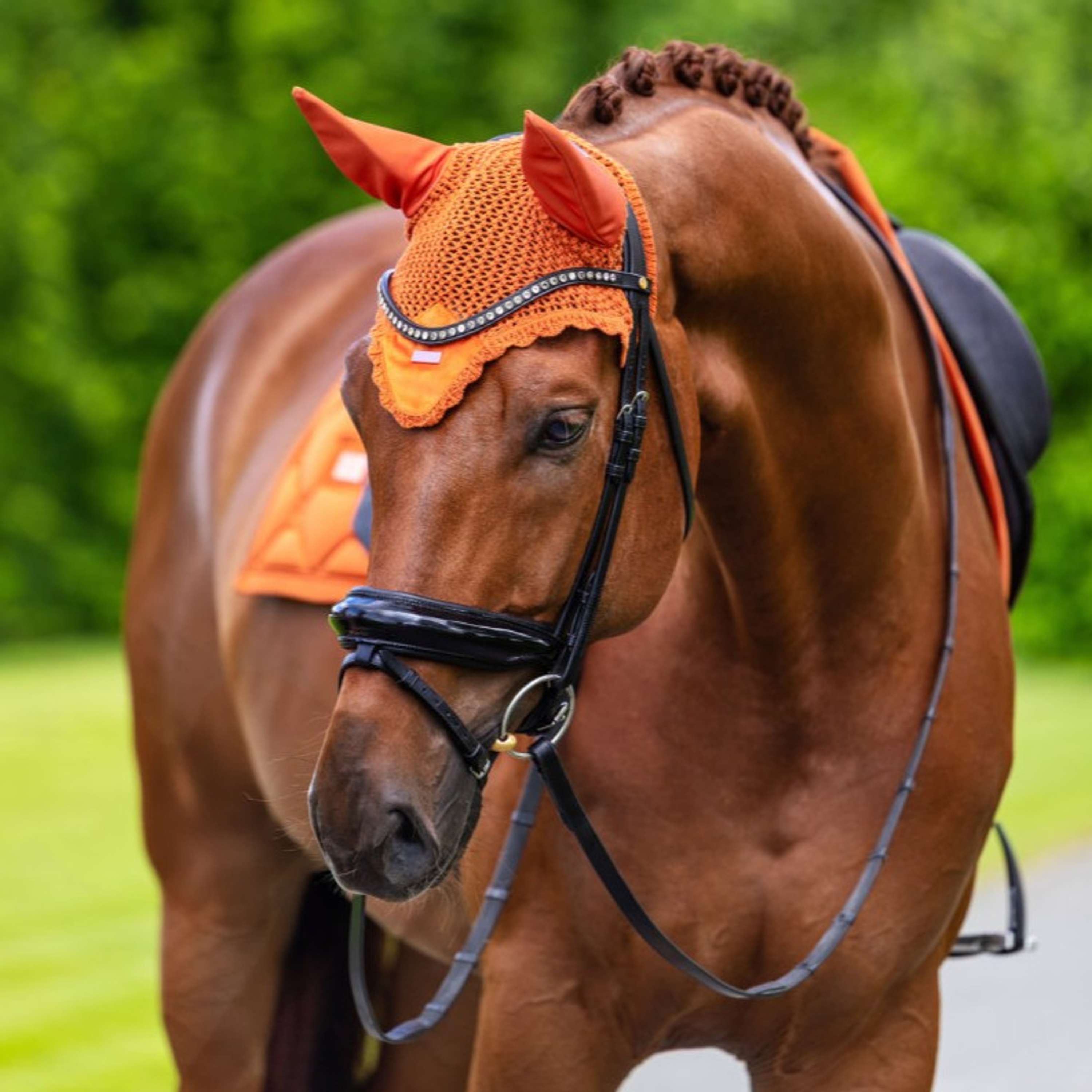 Equestrian Stockholm Ear Bonnet Velvet Chestnut