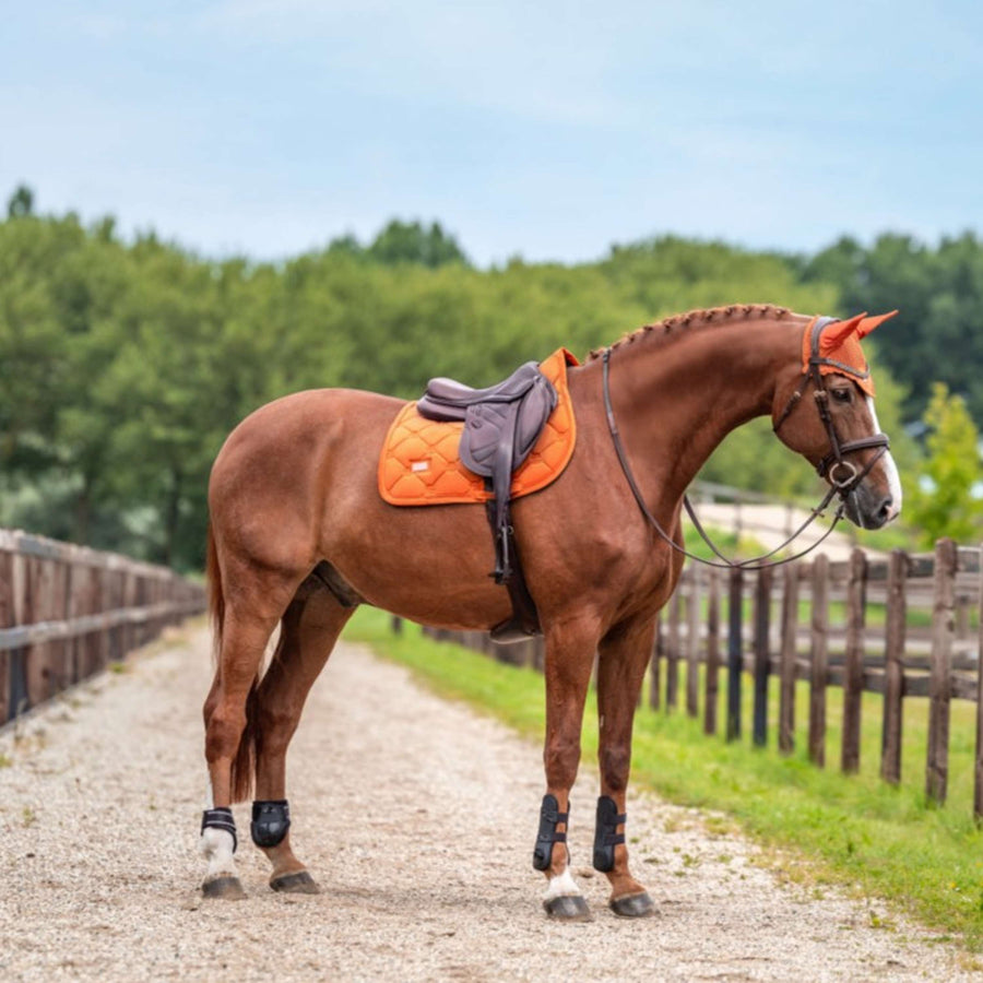 Equestrian Stockholm Saddlepad Velvet Jumping Chestnut