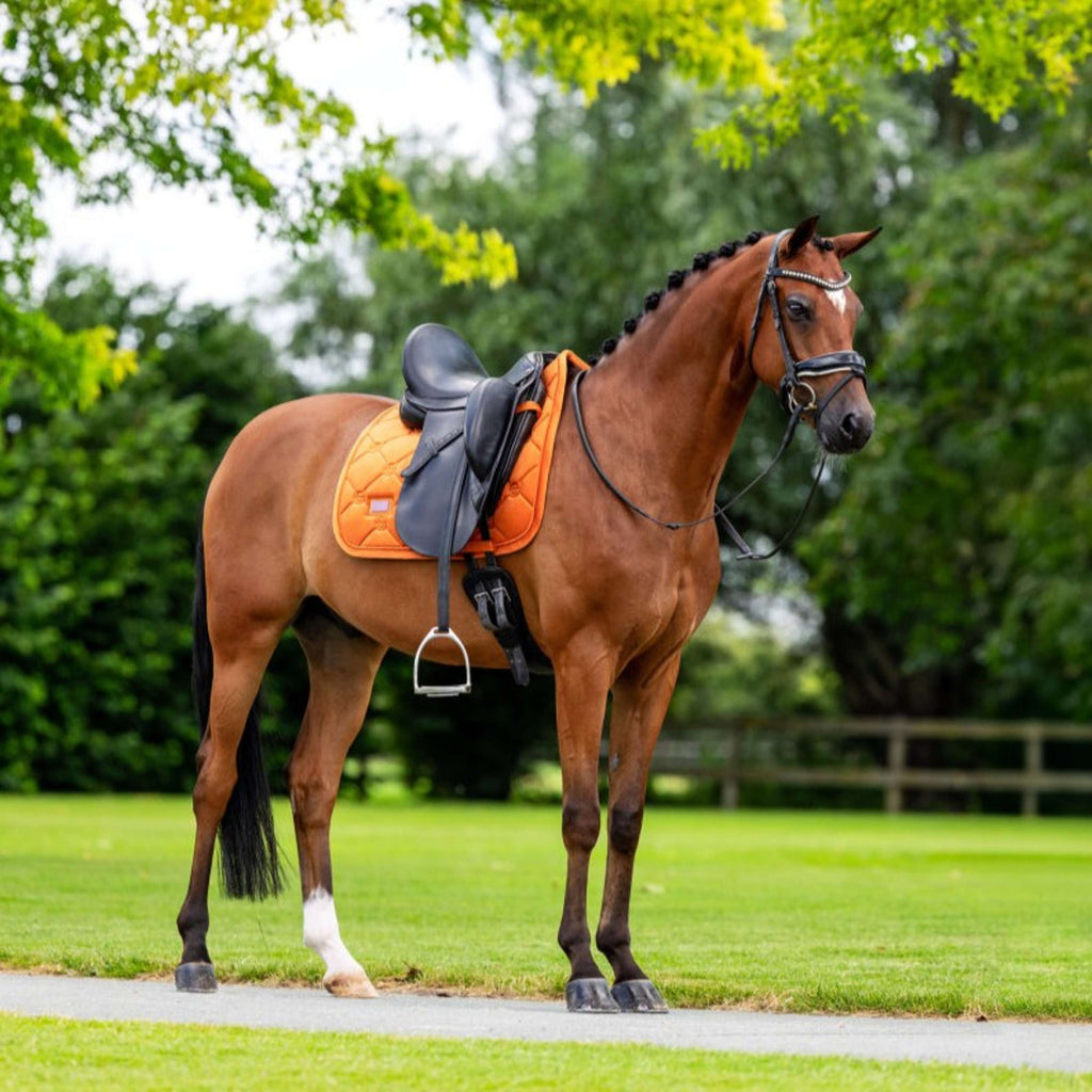Equestrian Stockholm Saddlepad Velvet Dressage Chestnut